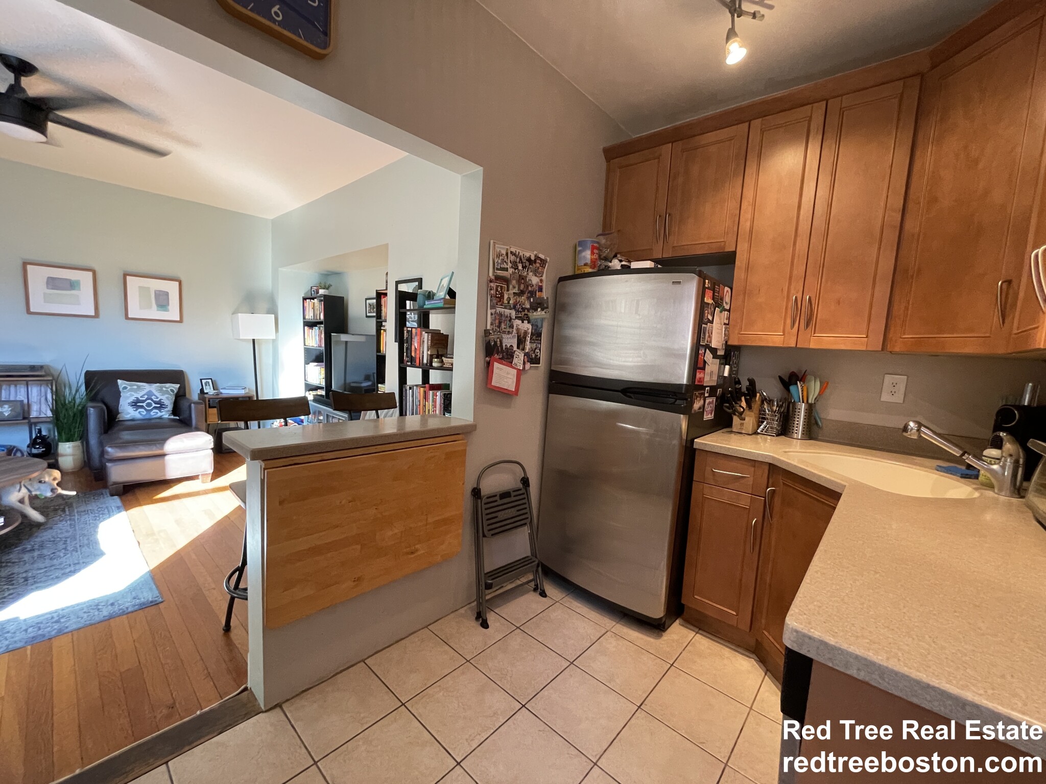 46 Orkney Rd, Brighton