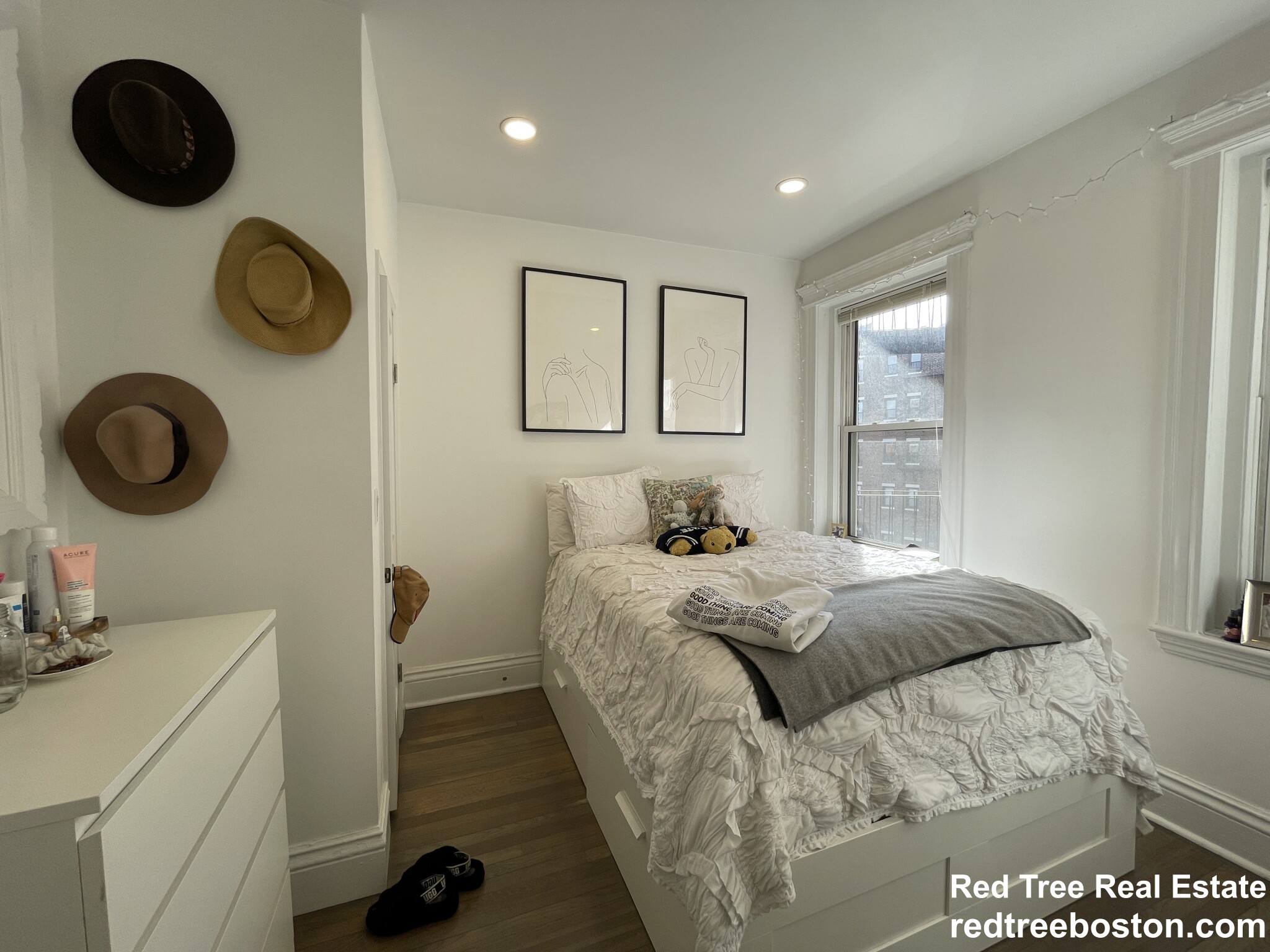 102 Queensberry St, Fenway