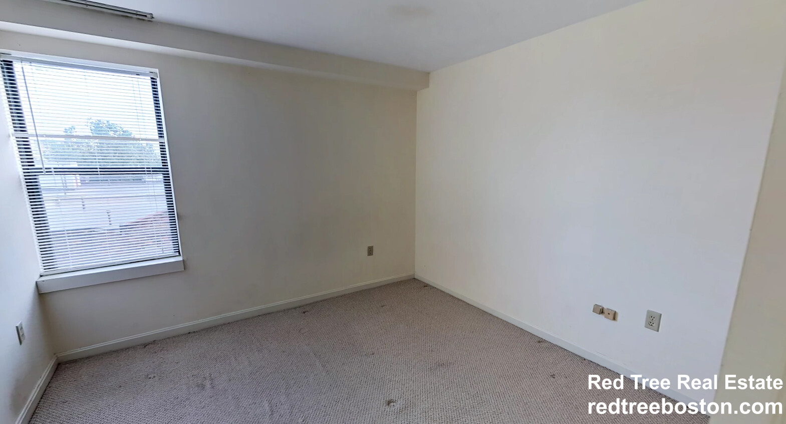 100 Jersey St, Fenway