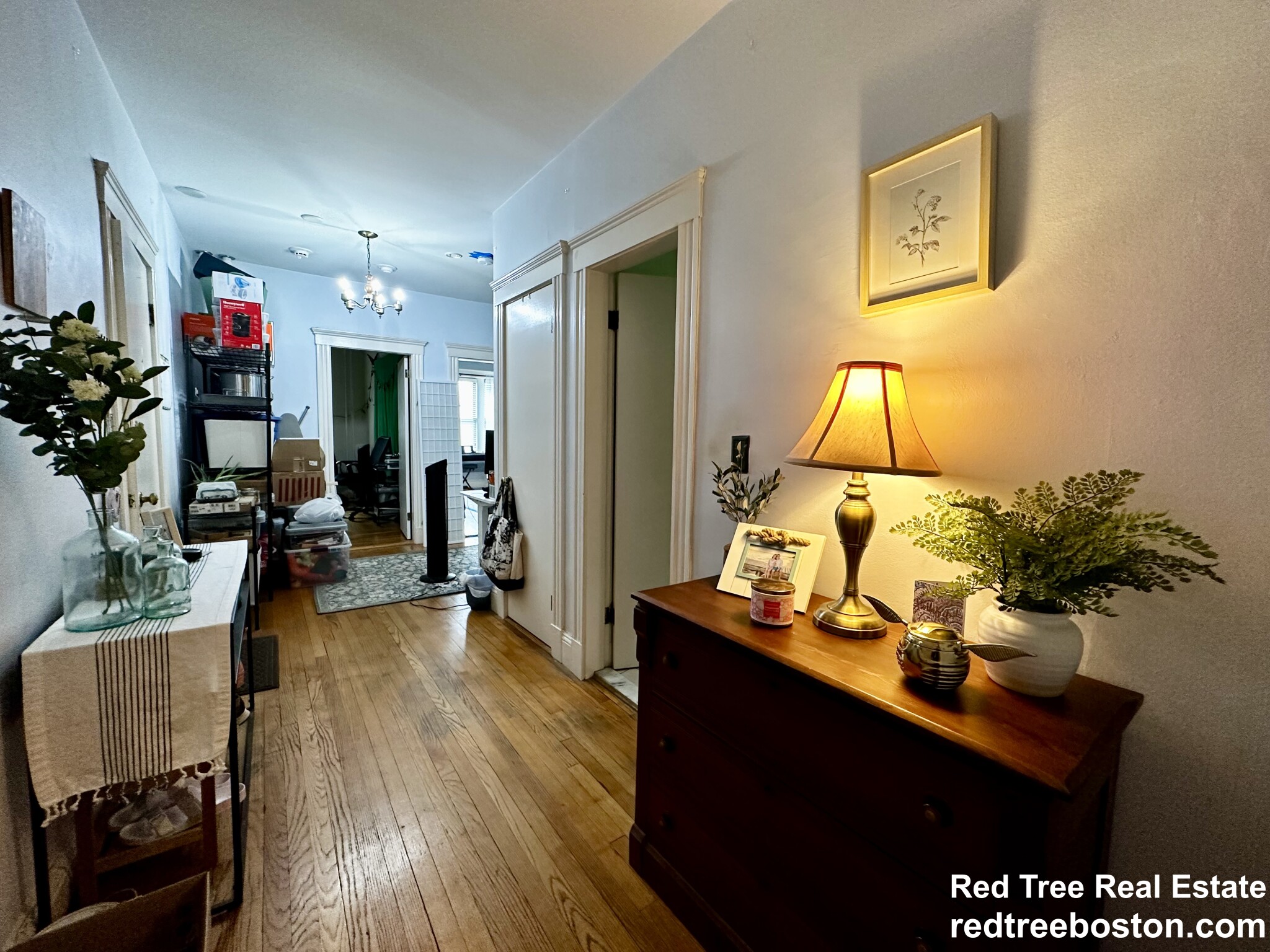 370 Chestnut Hill Ave, Brighton