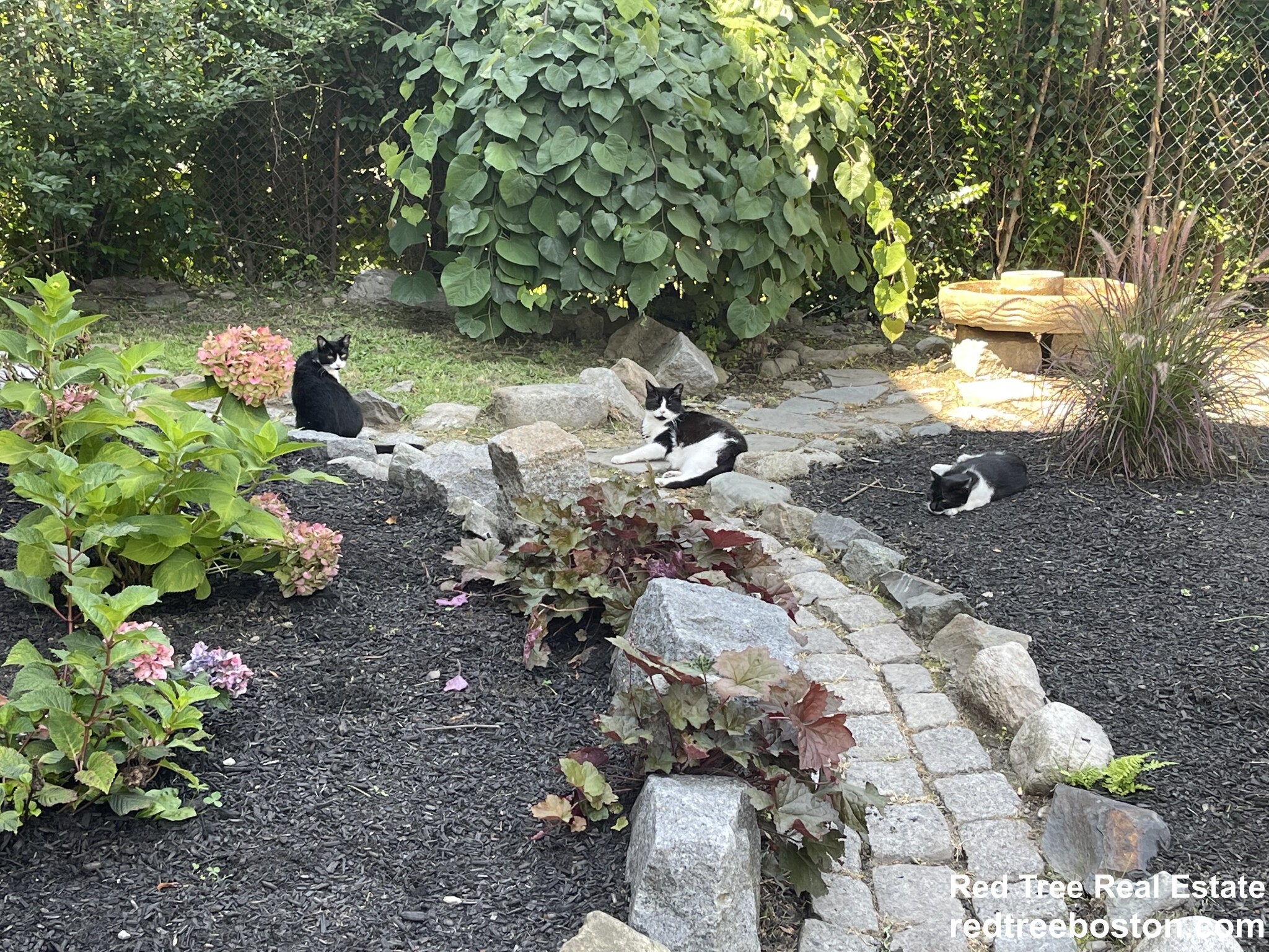 41 Elmore St, Roxbury