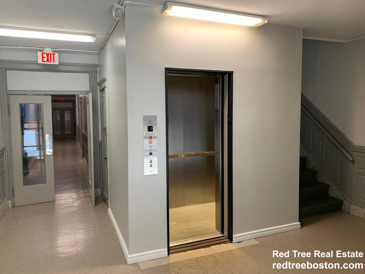 11 Royce Rd, Allston