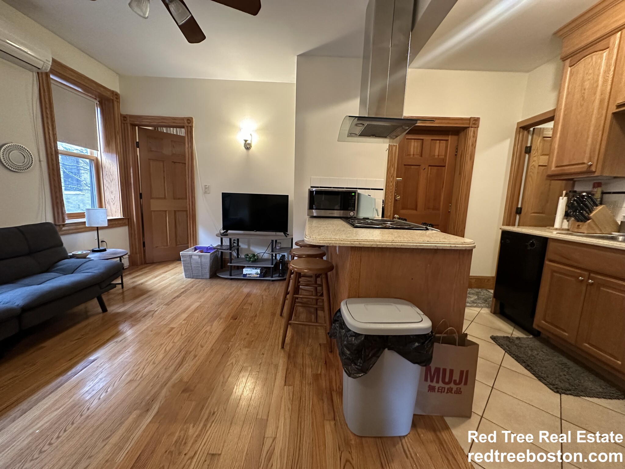 97 Myrtle St, Beacon Hill