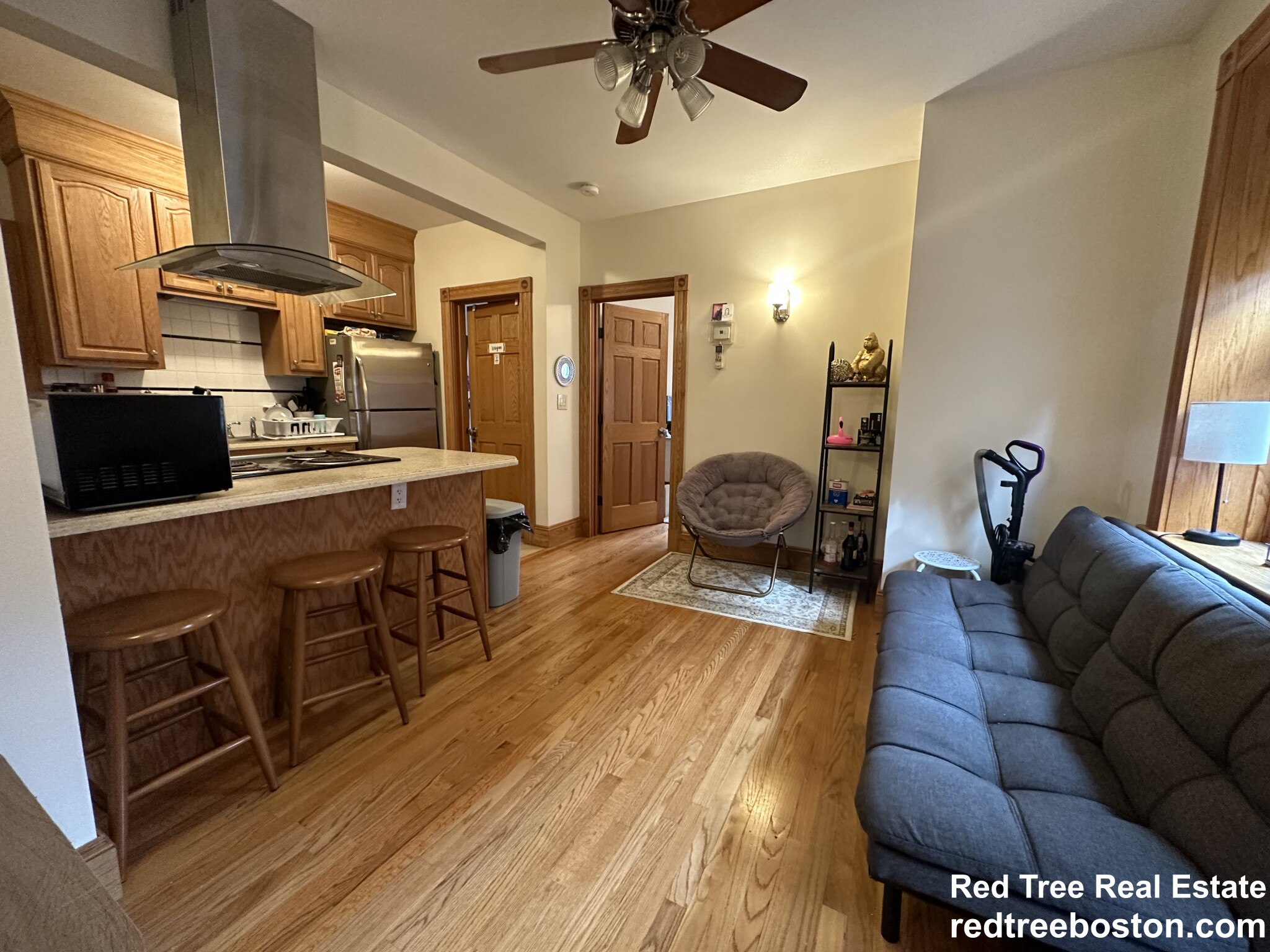 97 Myrtle St, Beacon Hill