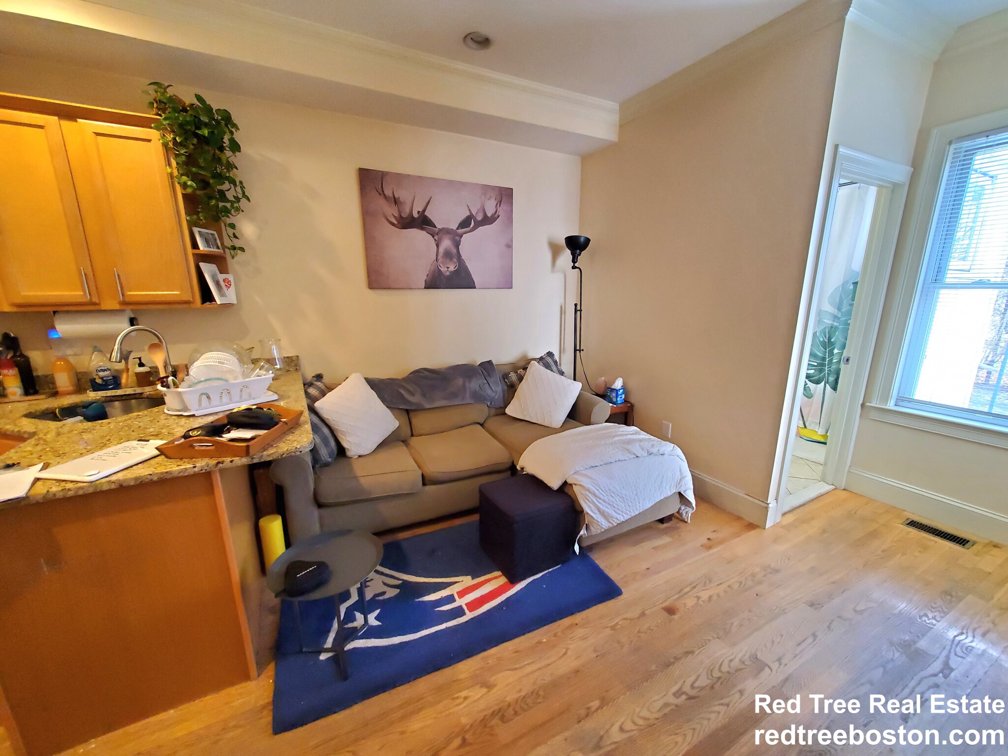 25 Lothrop St, Brighton