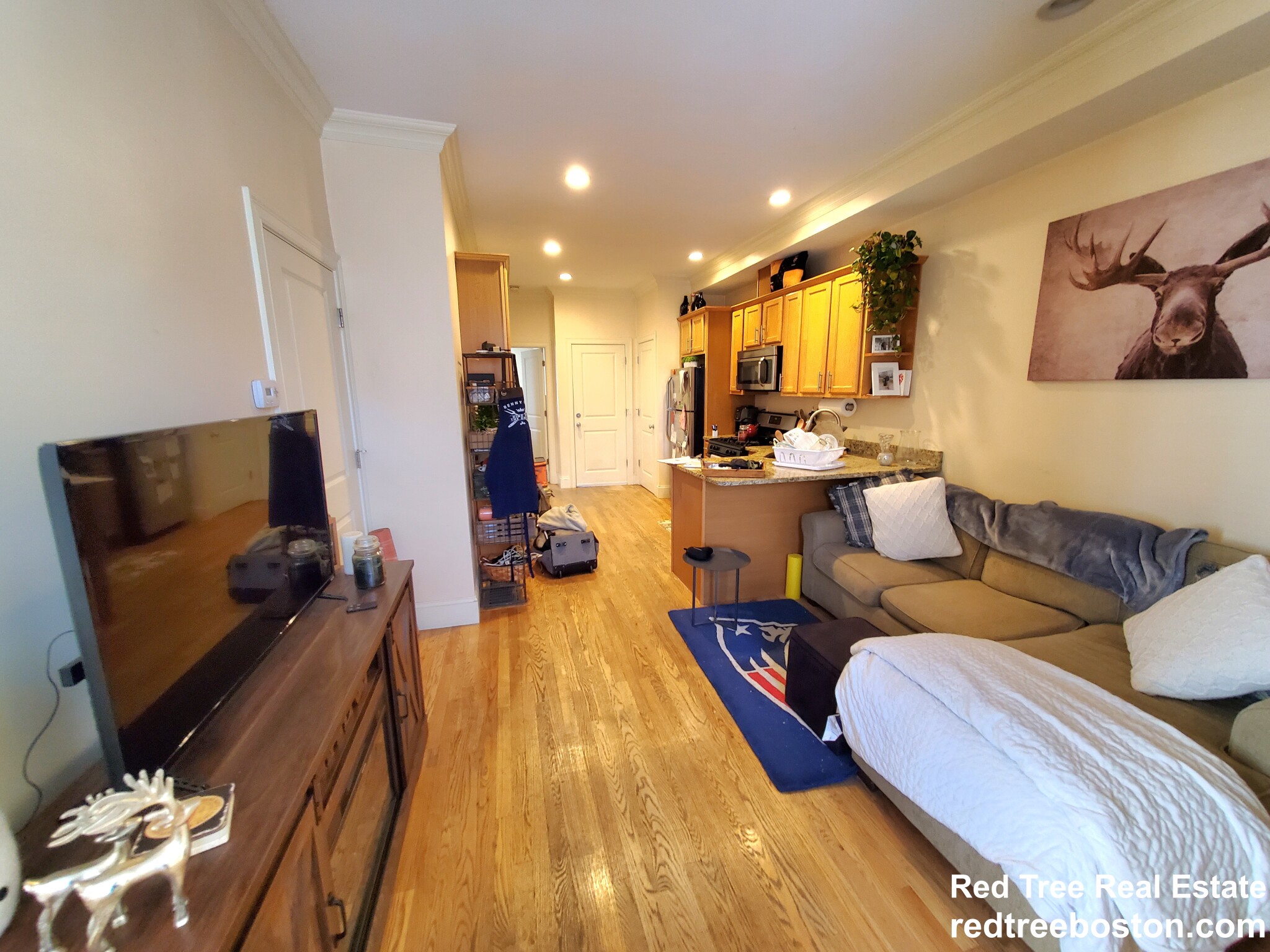 25 Lothrop St, Brighton