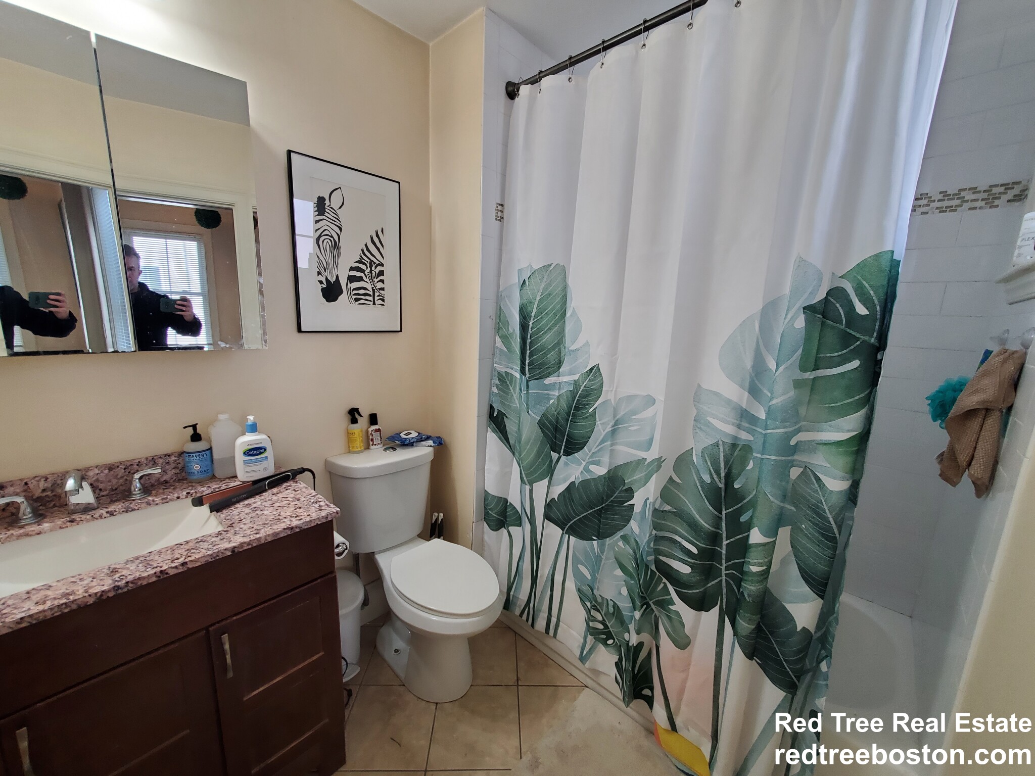 25 Lothrop St, Brighton