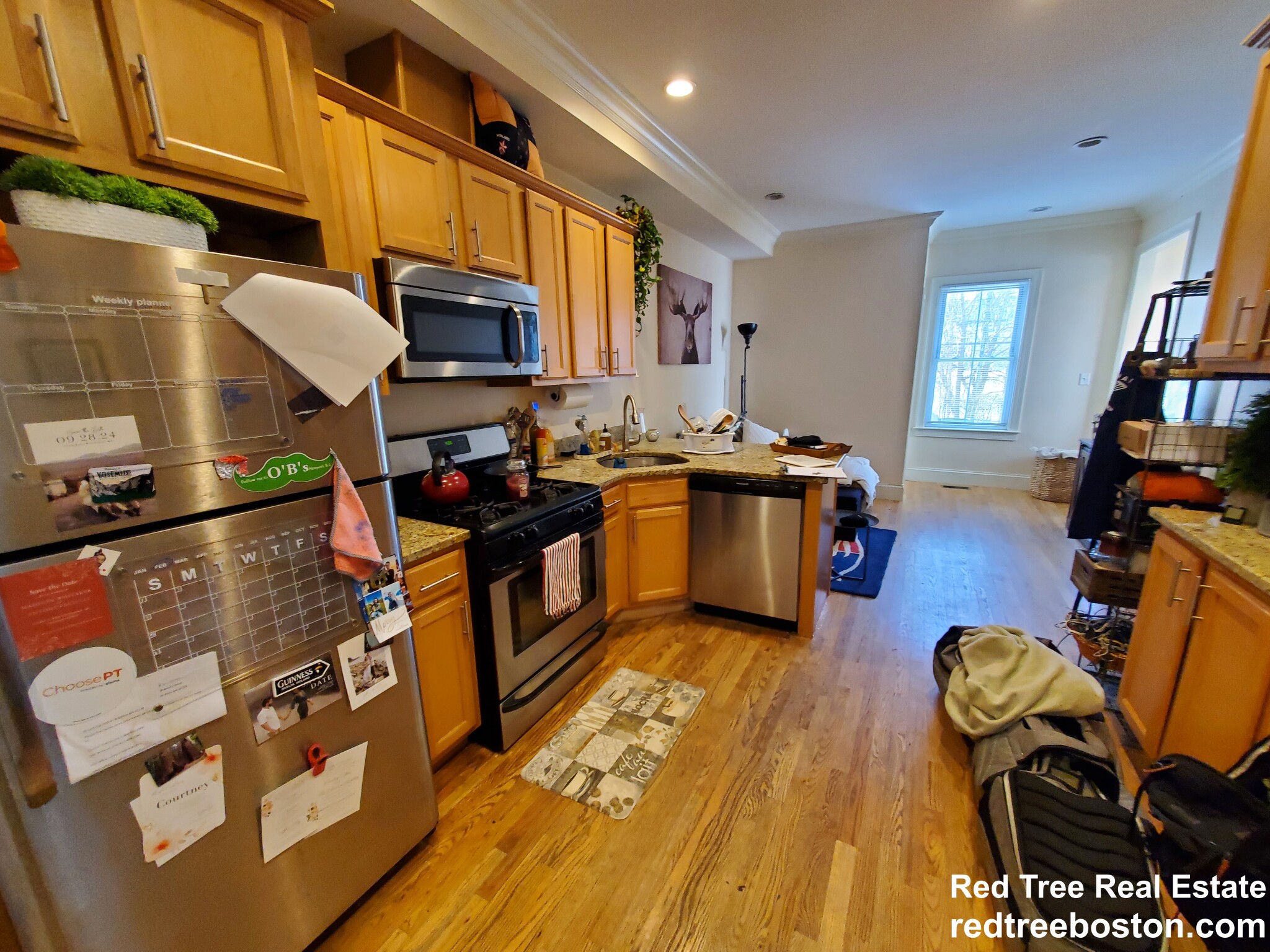 25 Lothrop St, Brighton