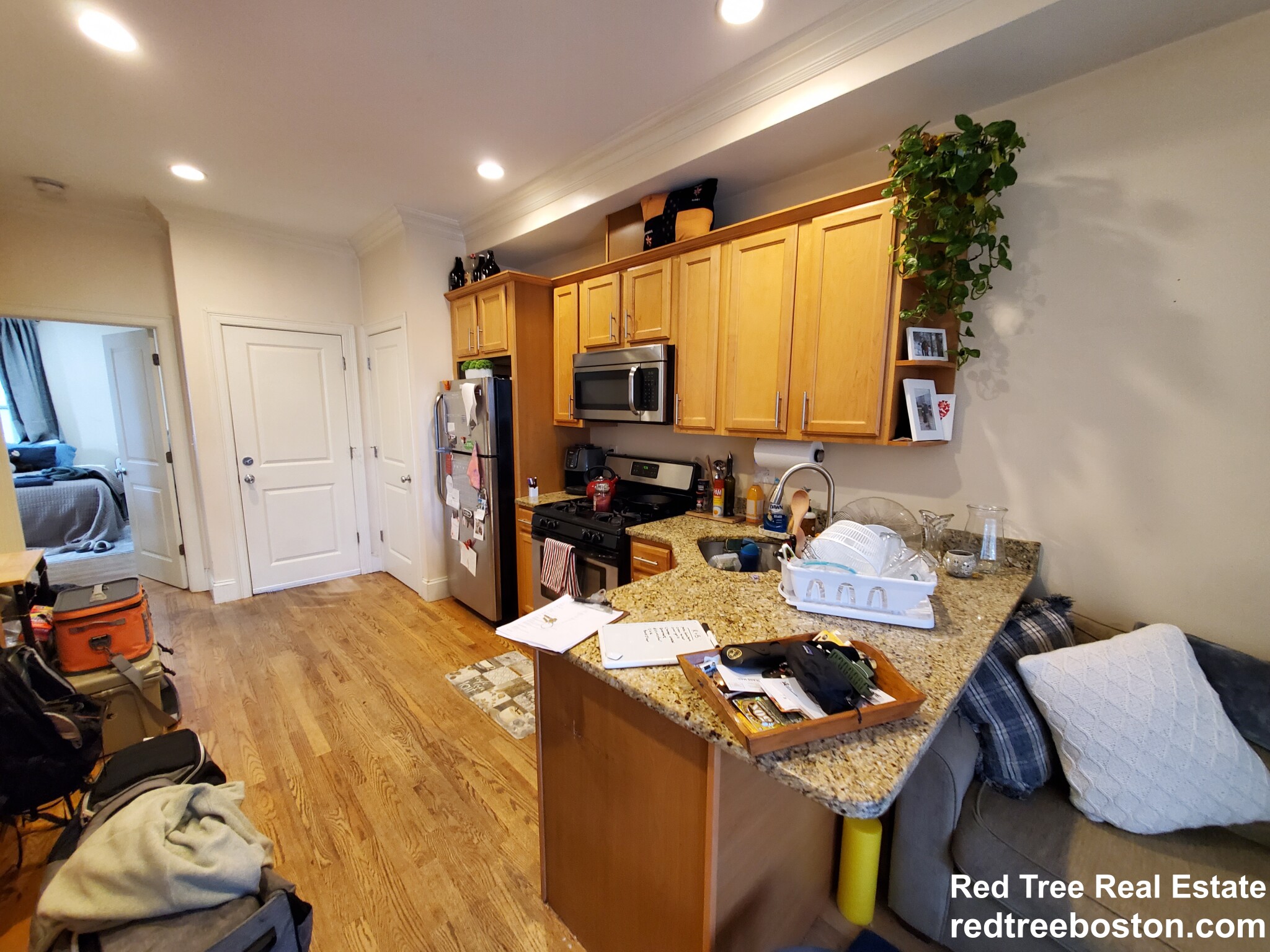 25 Lothrop St, Brighton