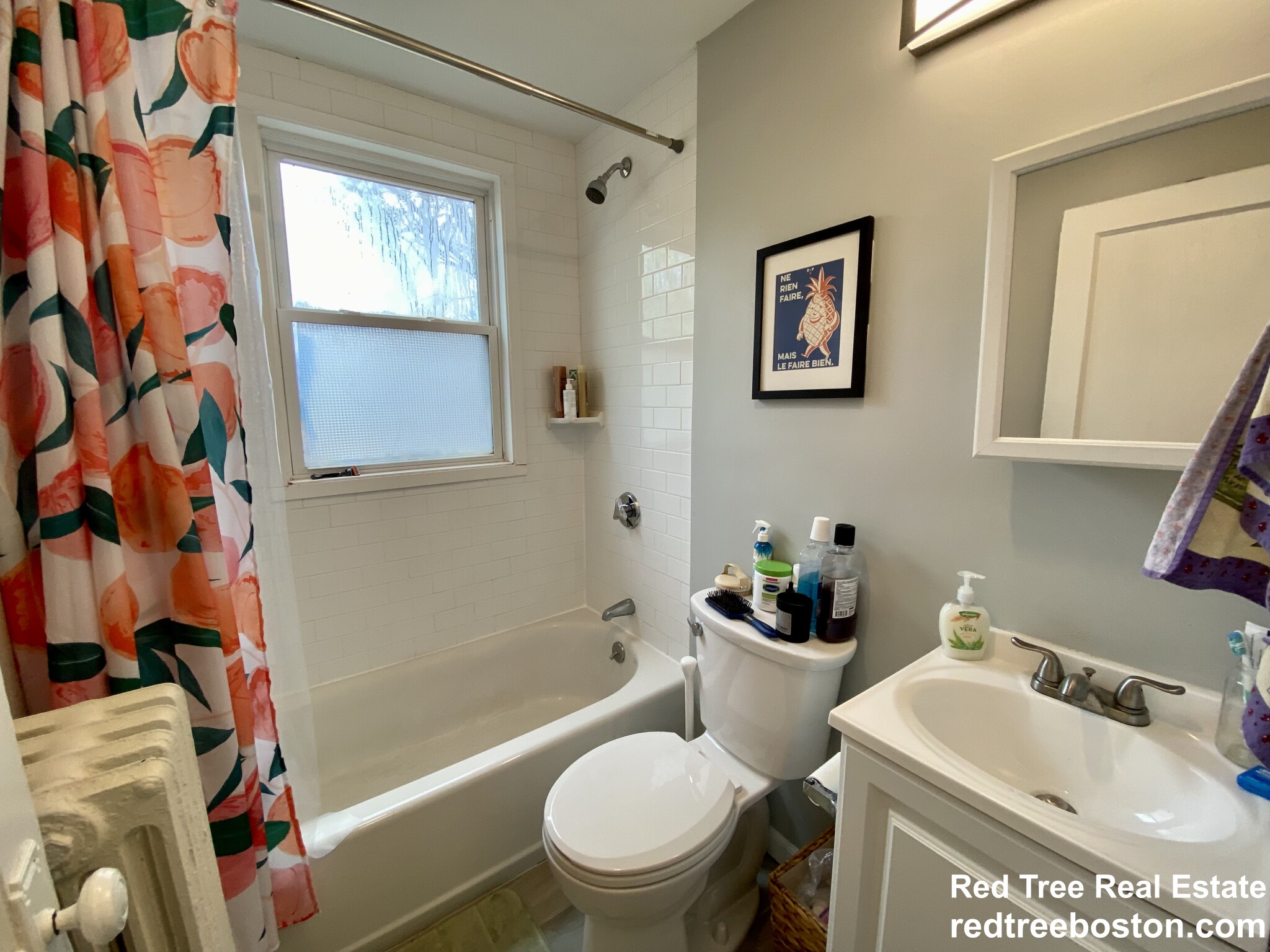 24 Saint Peter St, Jamaica Plain