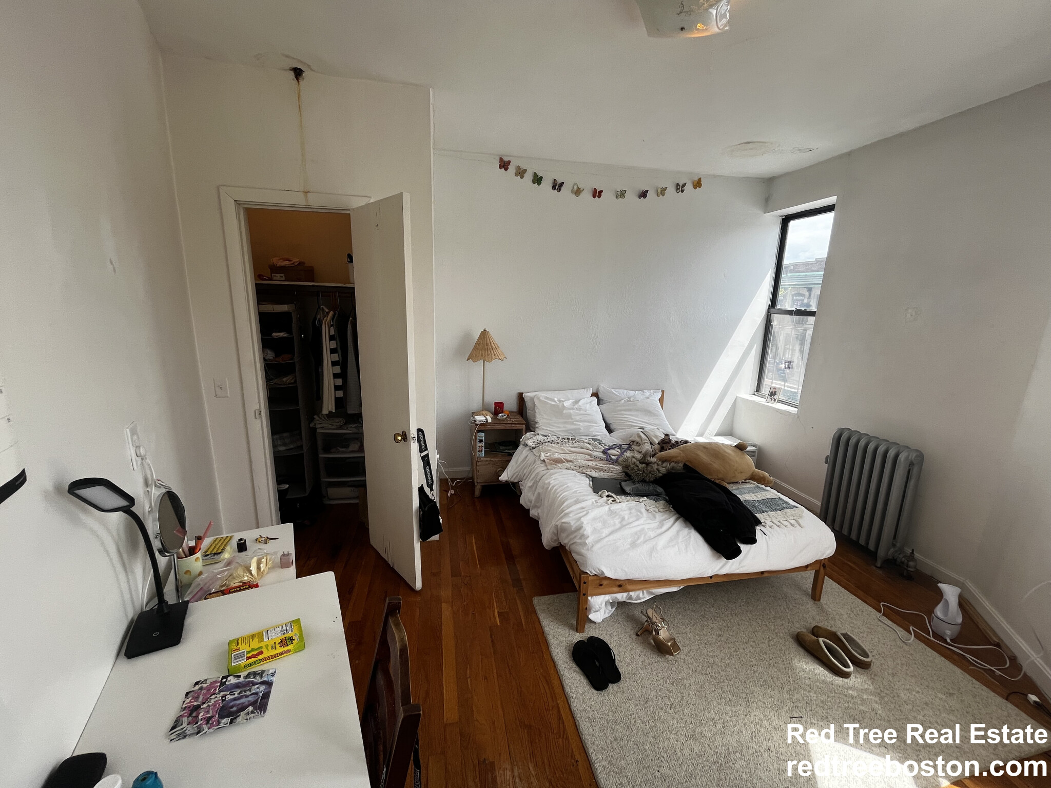 153 Brighton Ave, Brighton