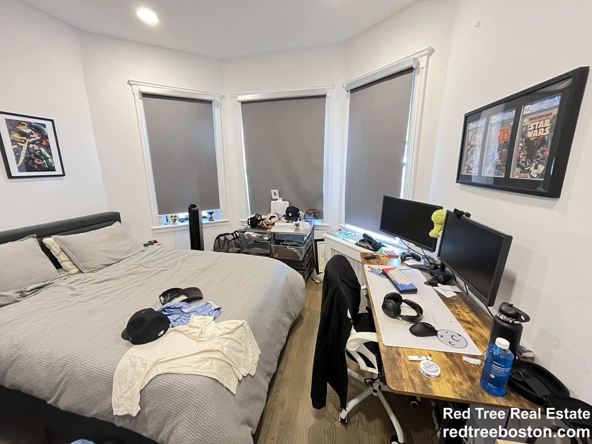 19 Peterborough St, Fenway