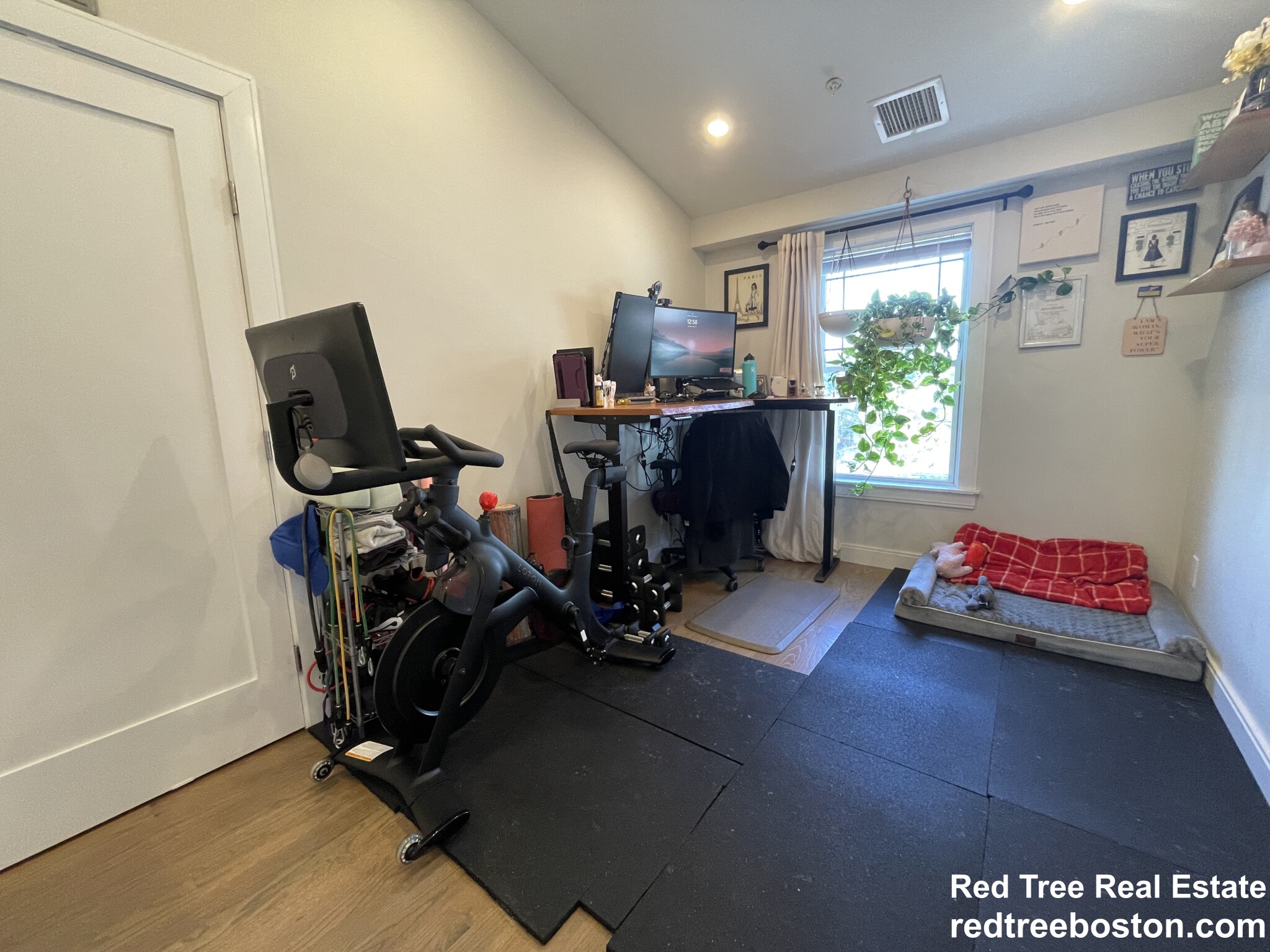 9 Mansfield St, Allston