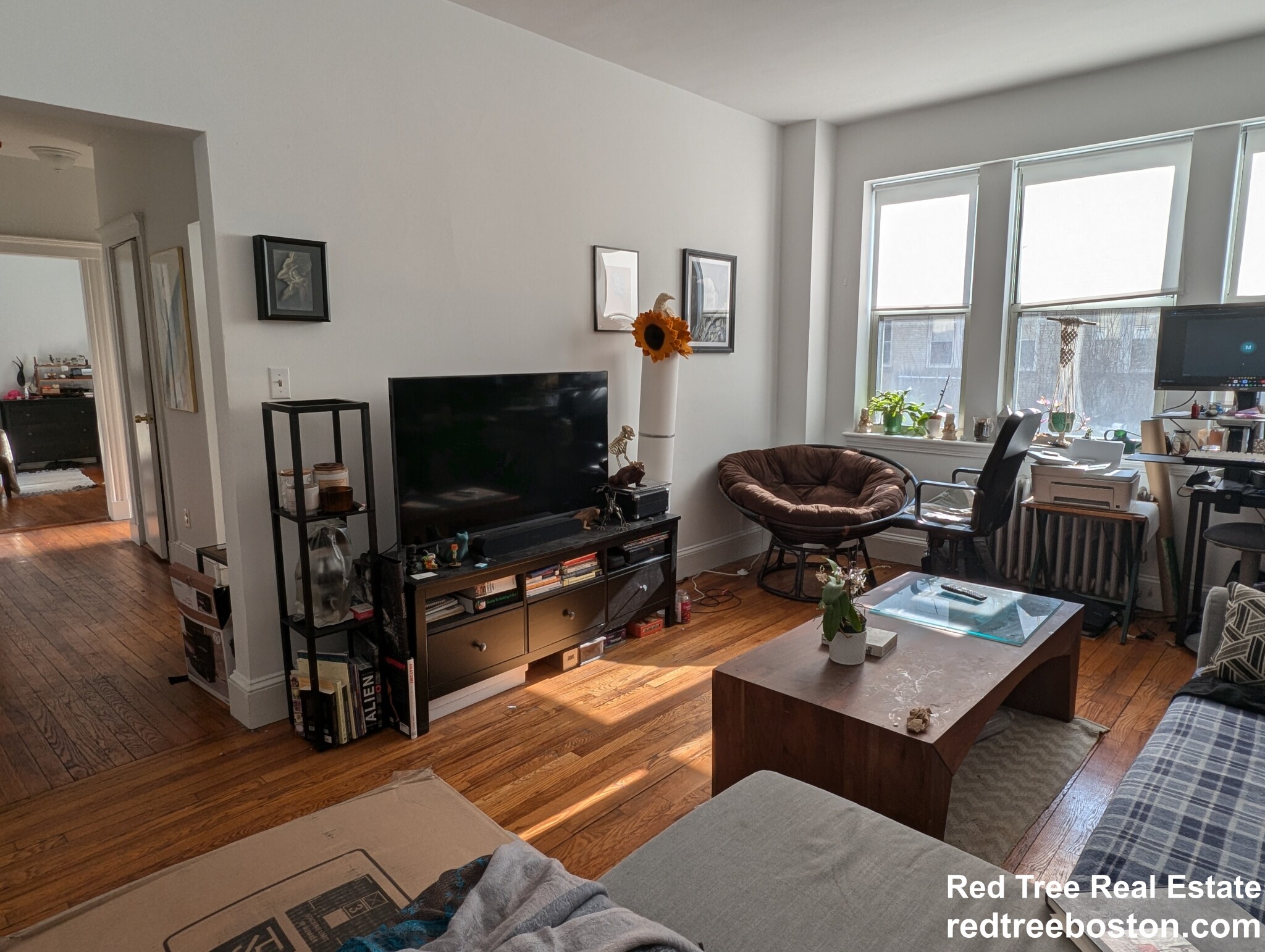 28 Colborne Rd, Brighton