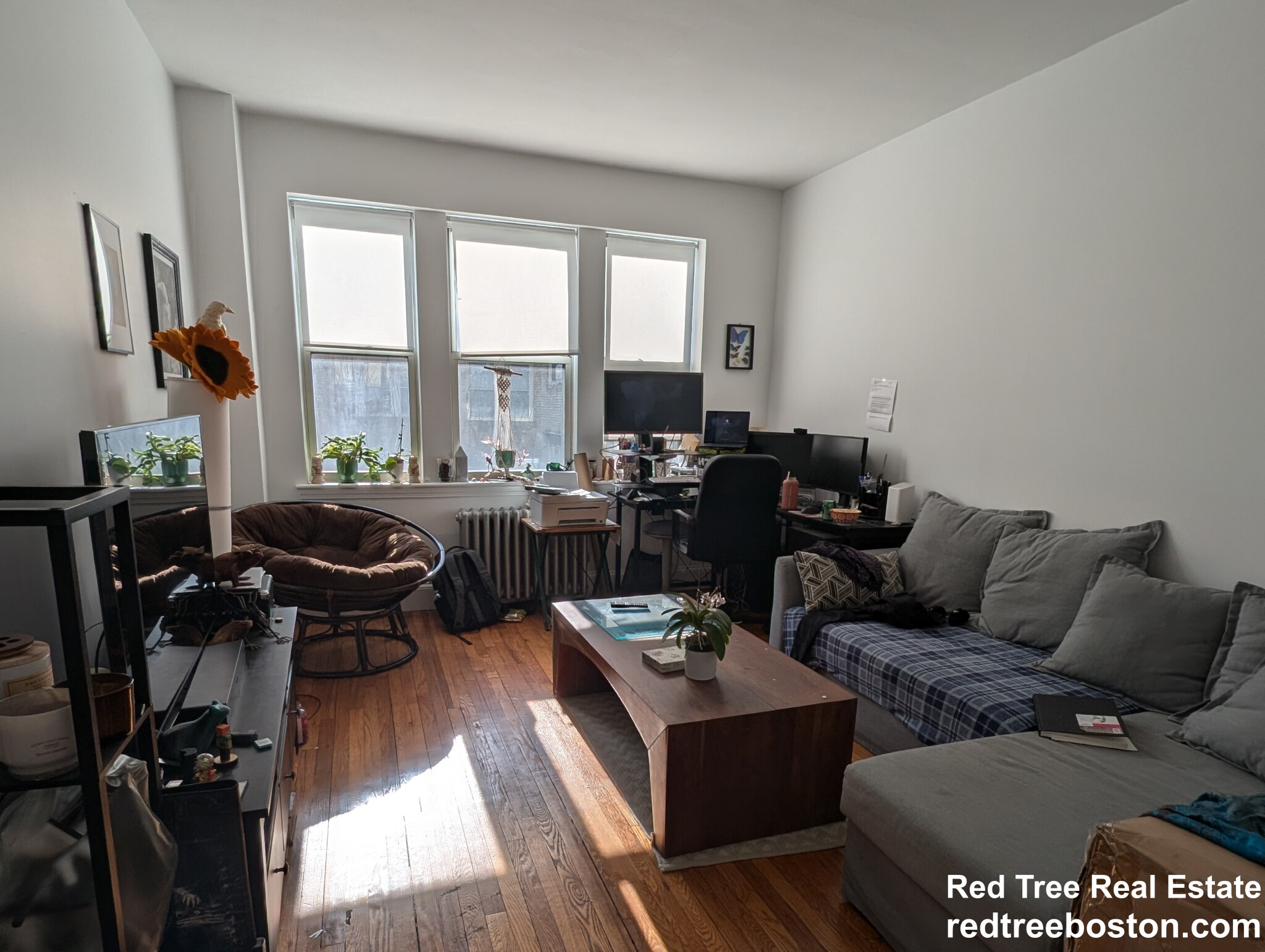 28 Colborne Rd, Brighton