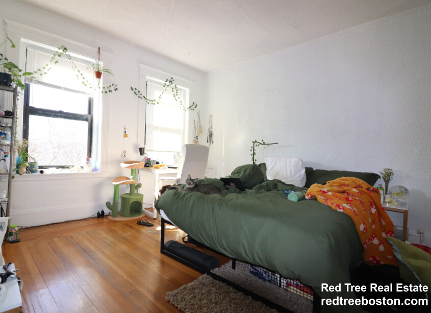 409 Huntington Ave, Fenway