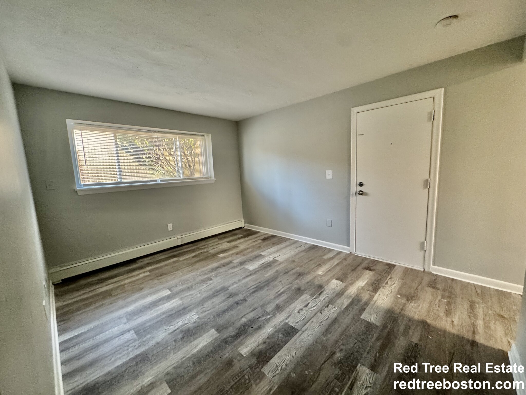 6 Waterloo St, Hyde Park