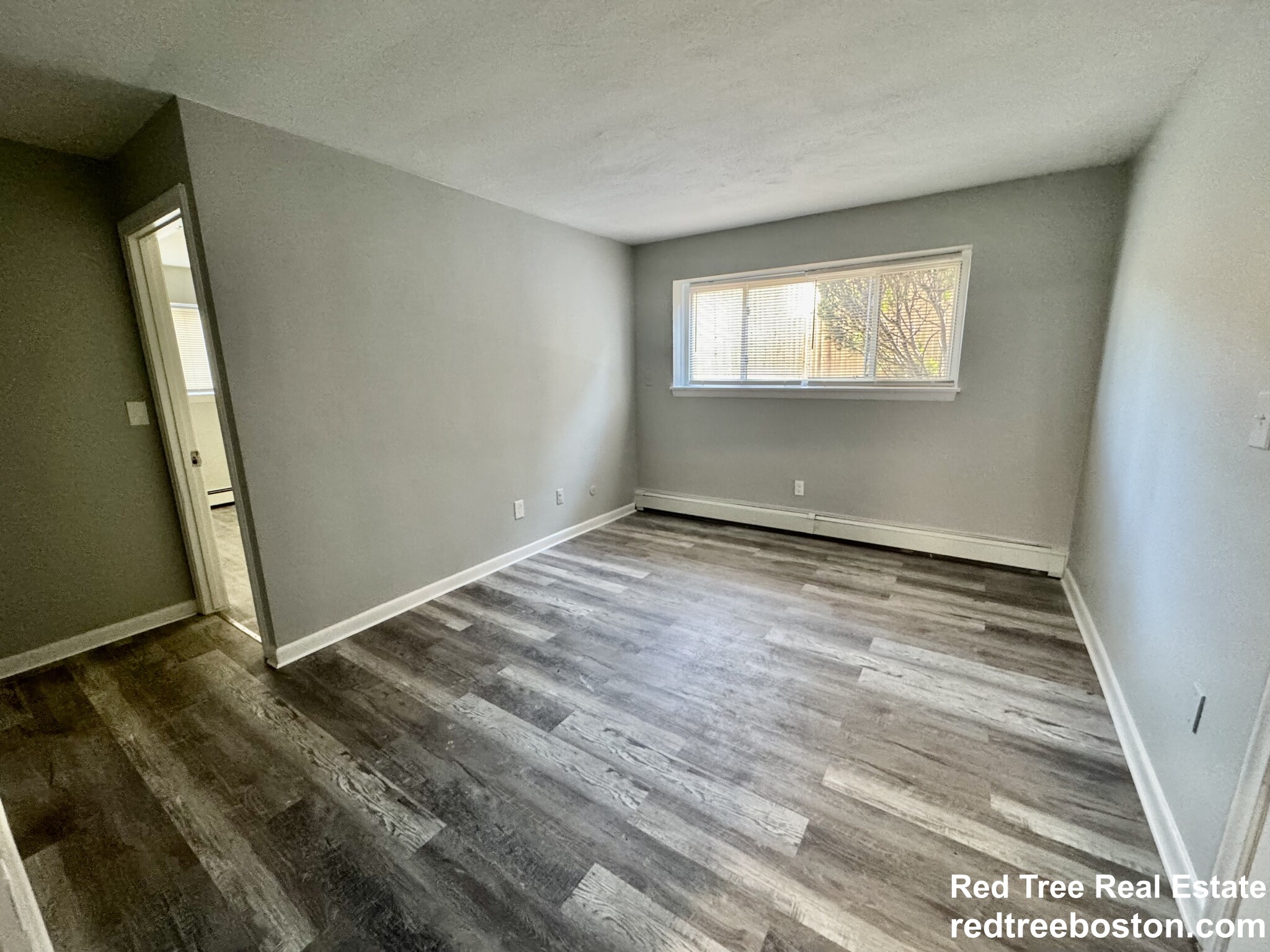 6 Waterloo St, Hyde Park