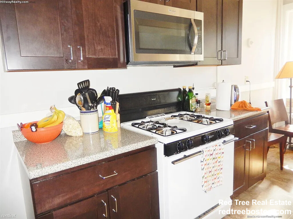 230 South St, Jamaica Plain