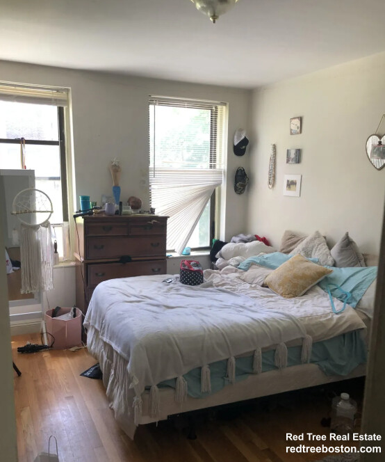 11 Peterborough St, Fenway