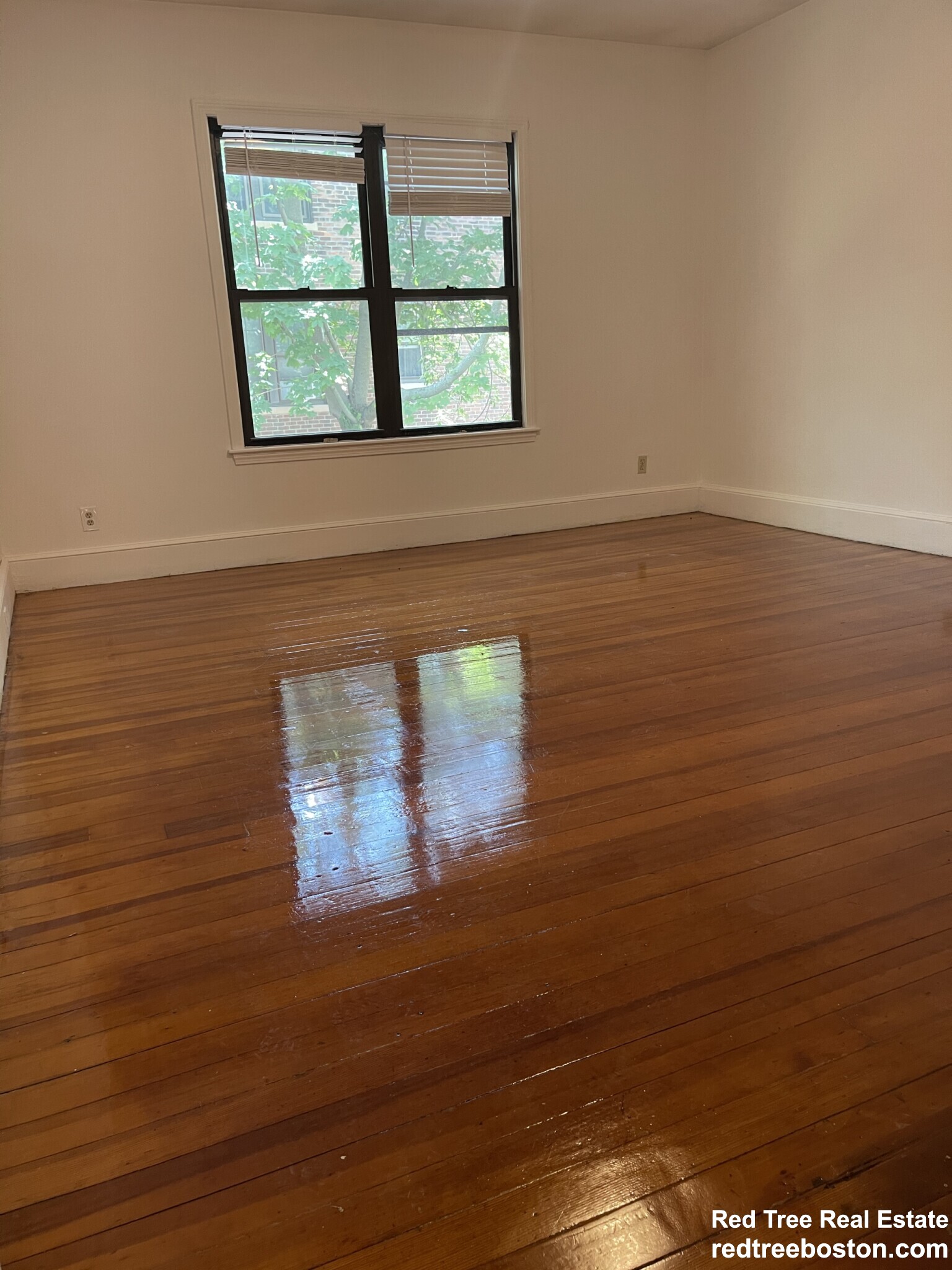 163 Strathmore Rd, Brighton