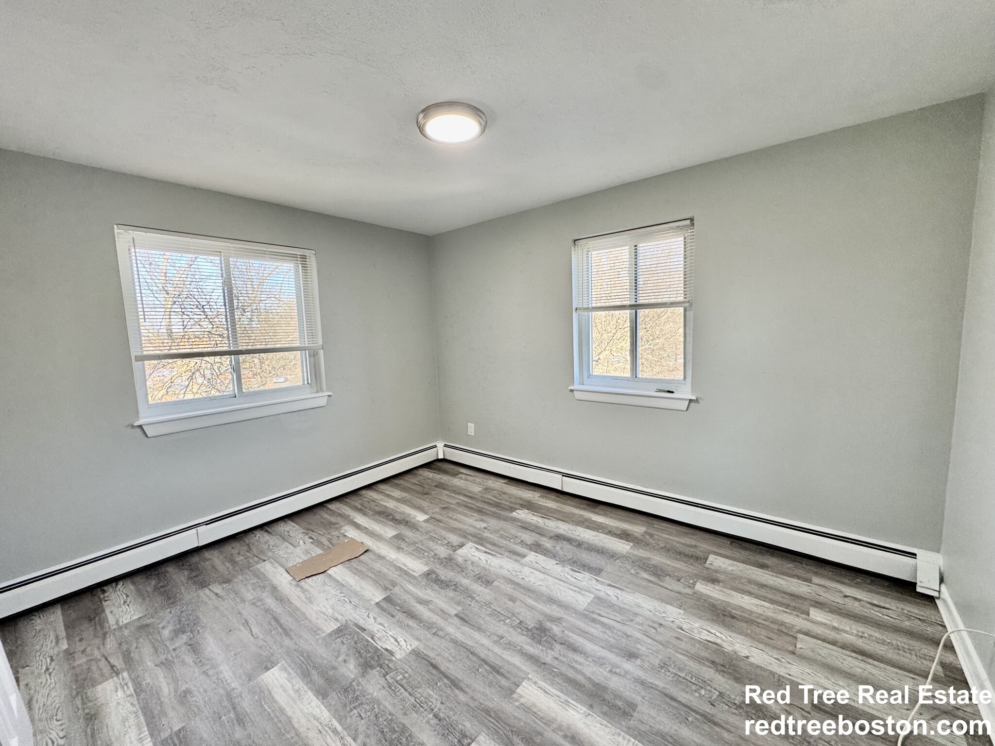 6 Waterloo St, Hyde Park