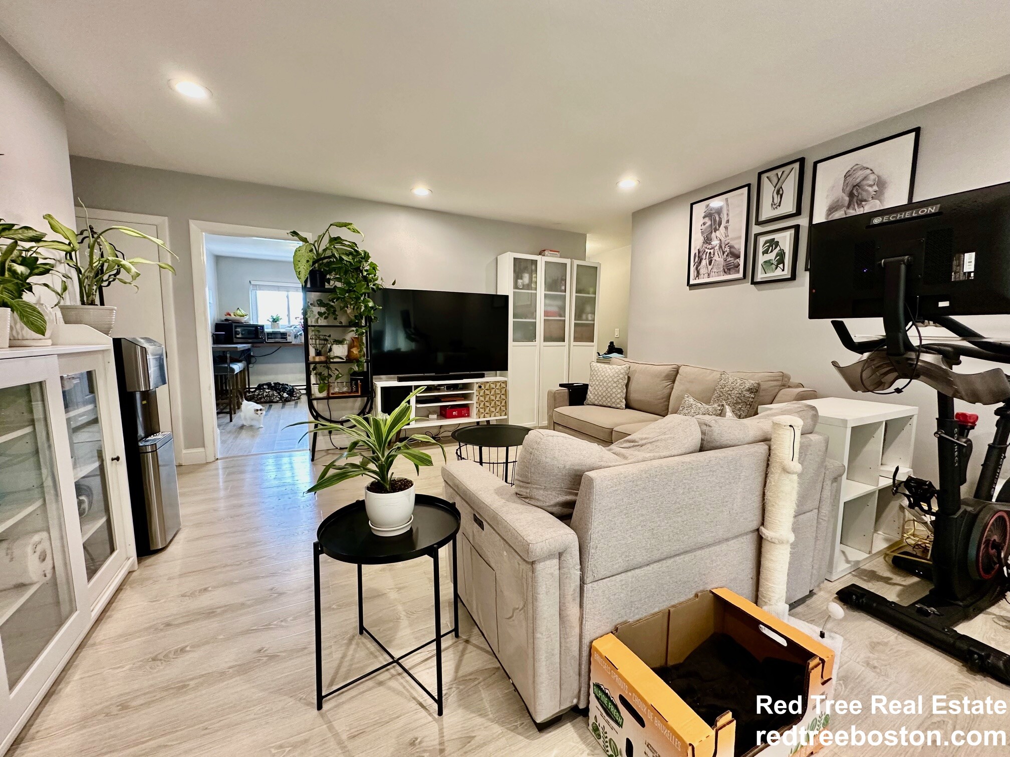 15 Westgate Rd, Chestnut Hill