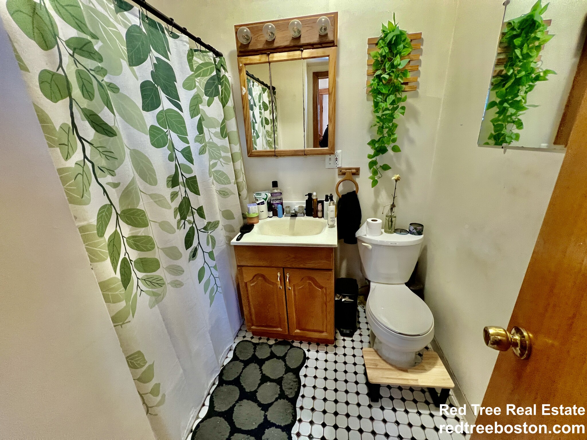 346 Faneuil St, Brighton