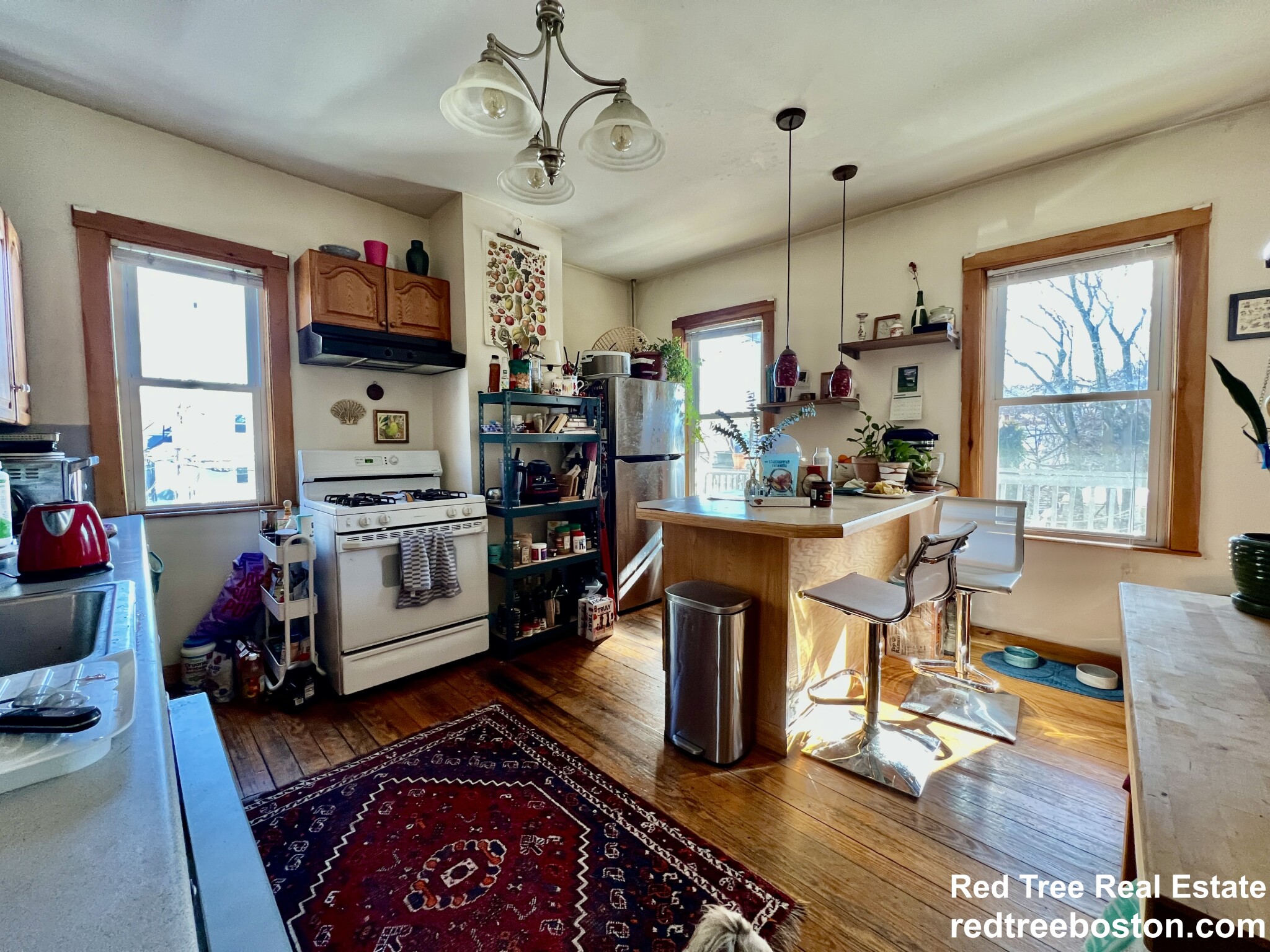 346 Faneuil St, Brighton