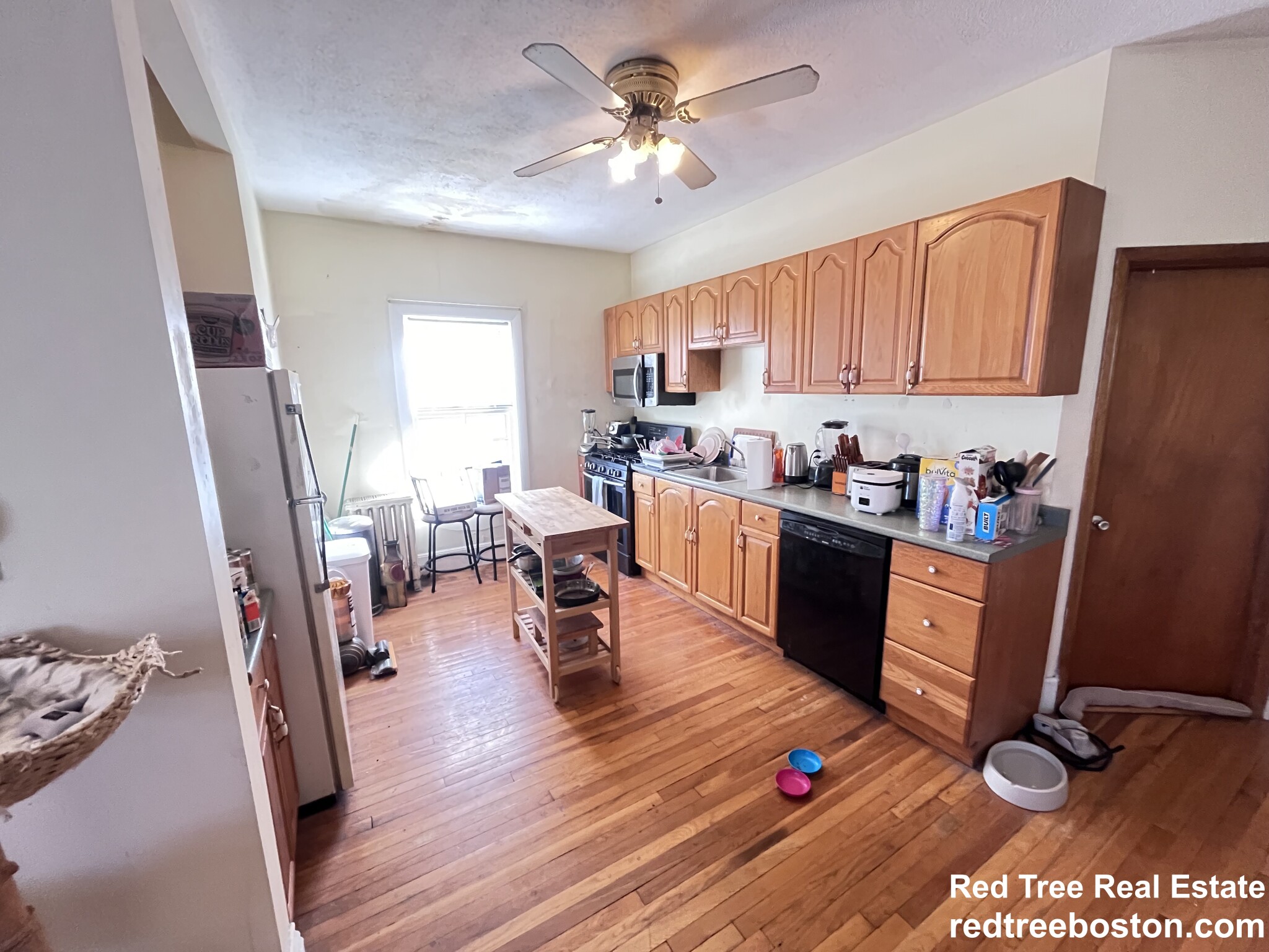 3 Foster St, Brighton