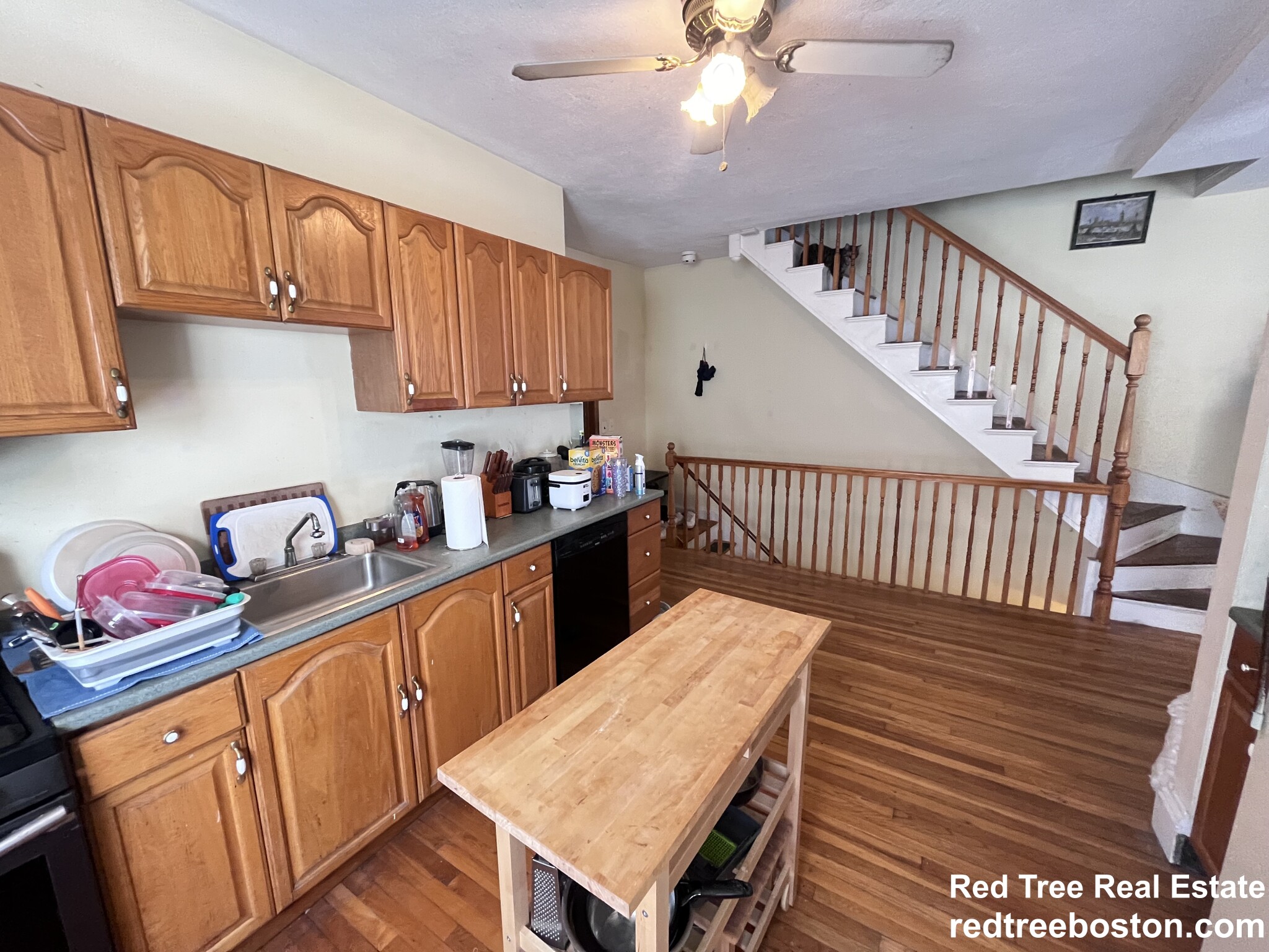 3 Foster St, Brighton