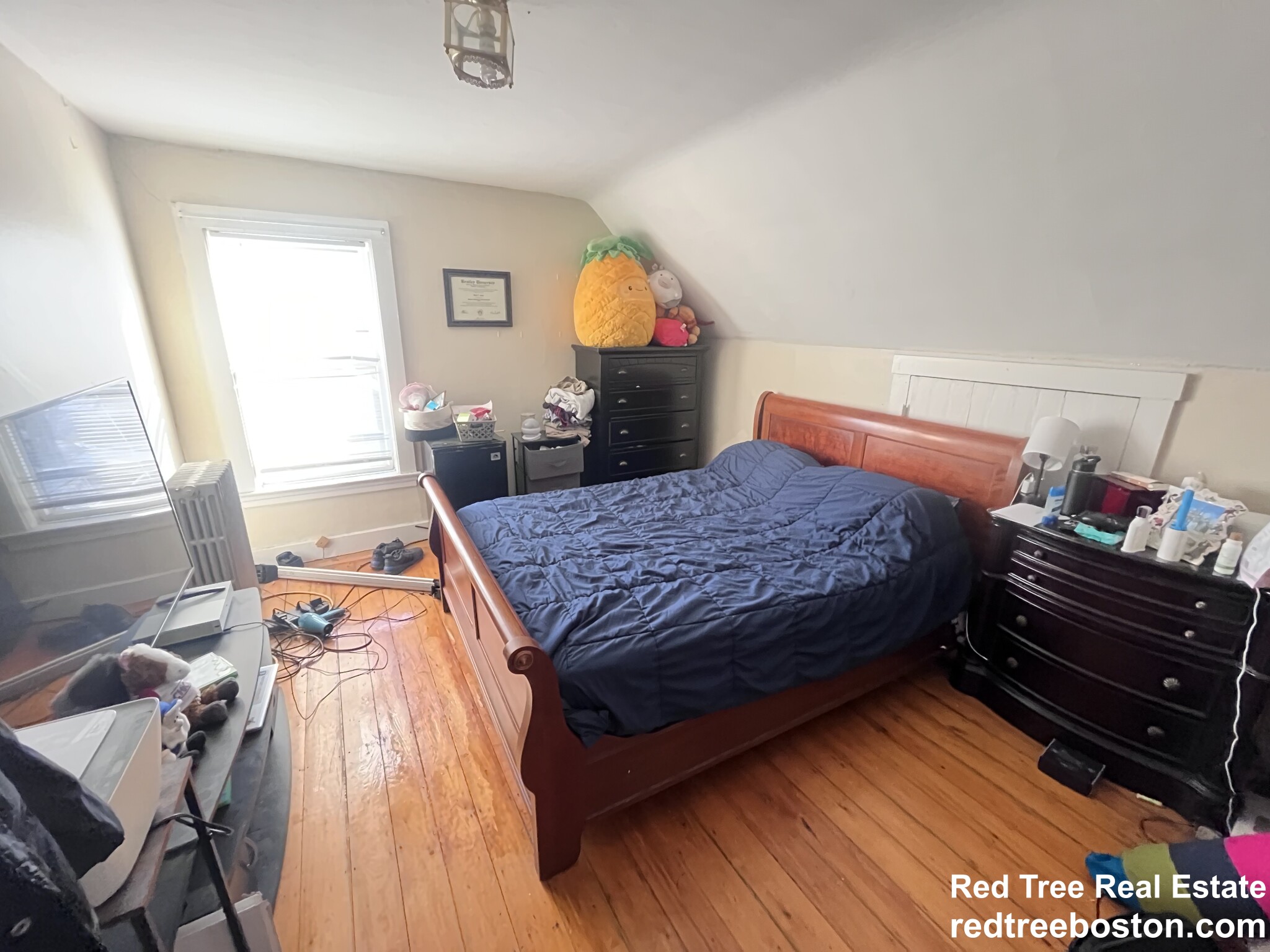 3 Foster St, Brighton