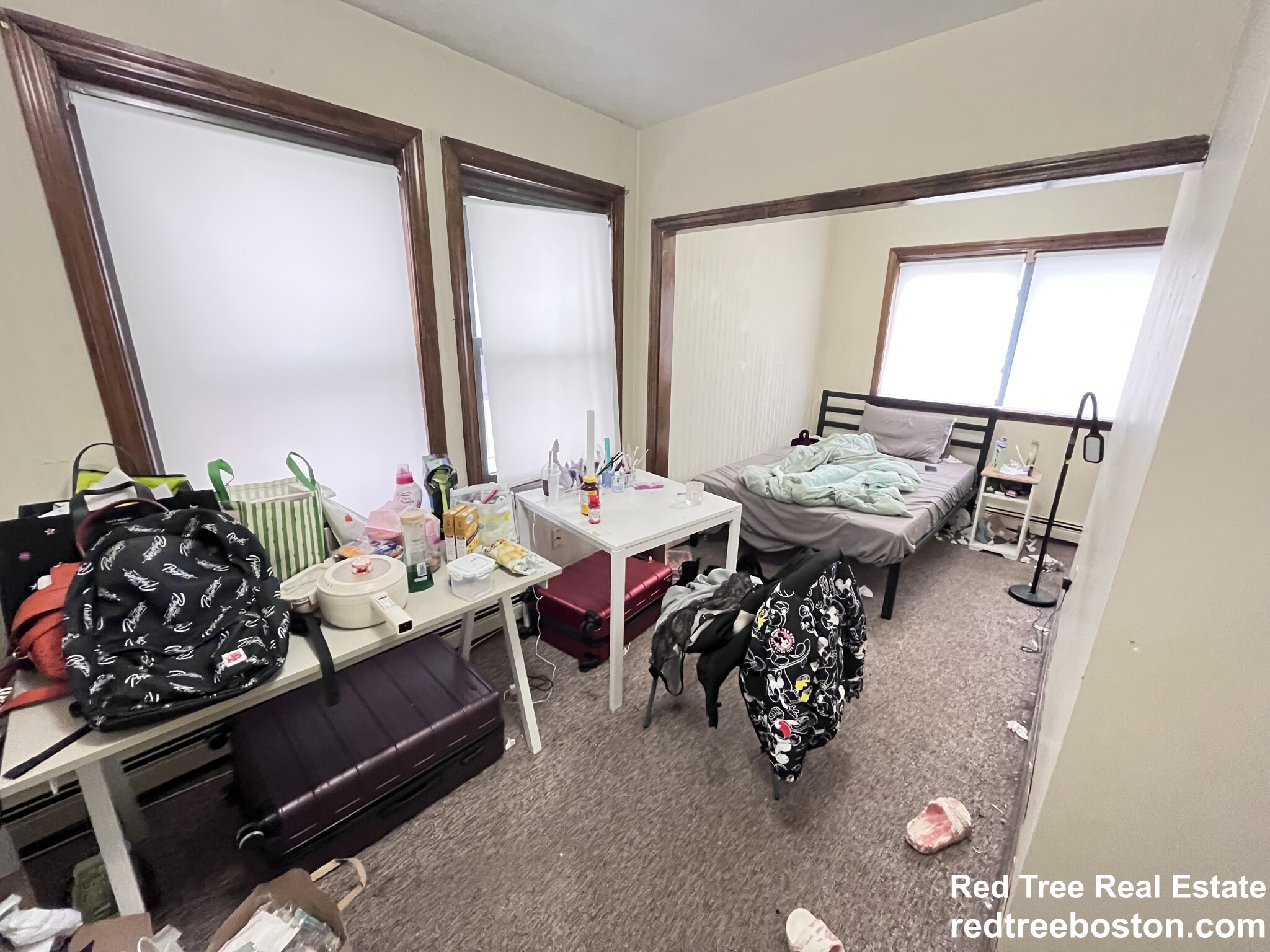 58 Leo Birmingham Pkwy, Brighton