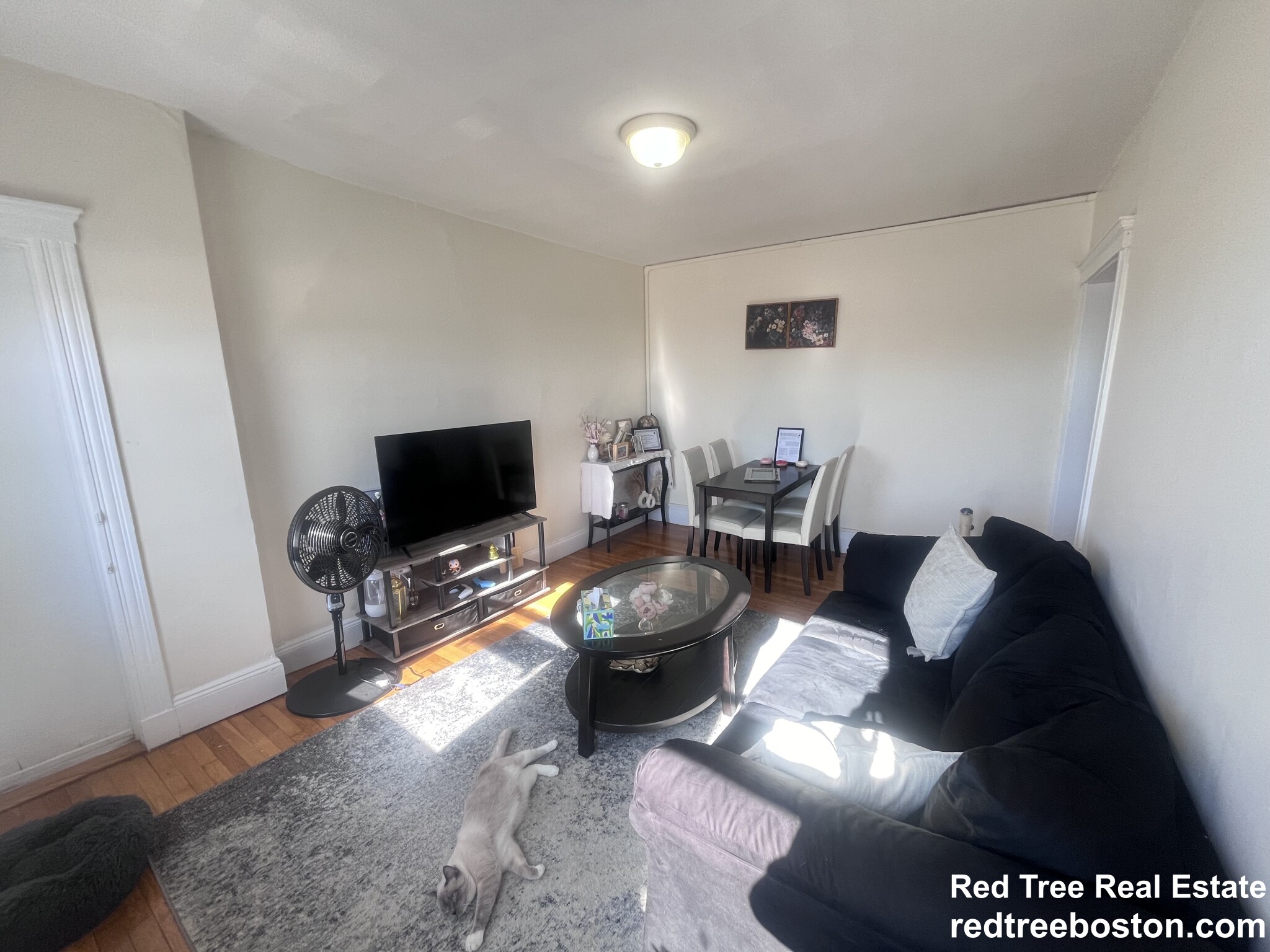 131 Washington St, Brighton