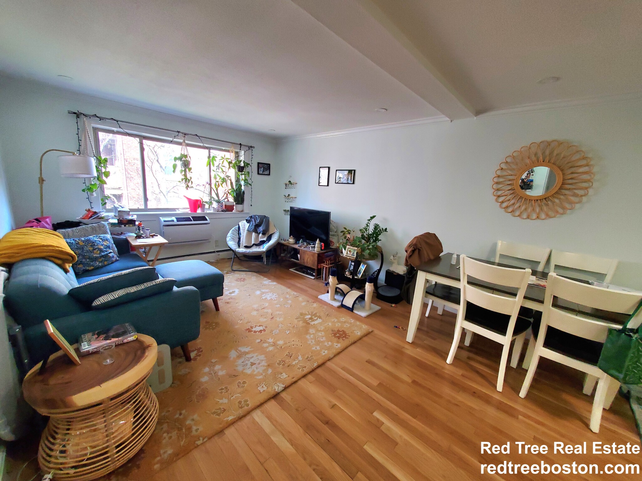 329 Harvard St, Mid Cambridge