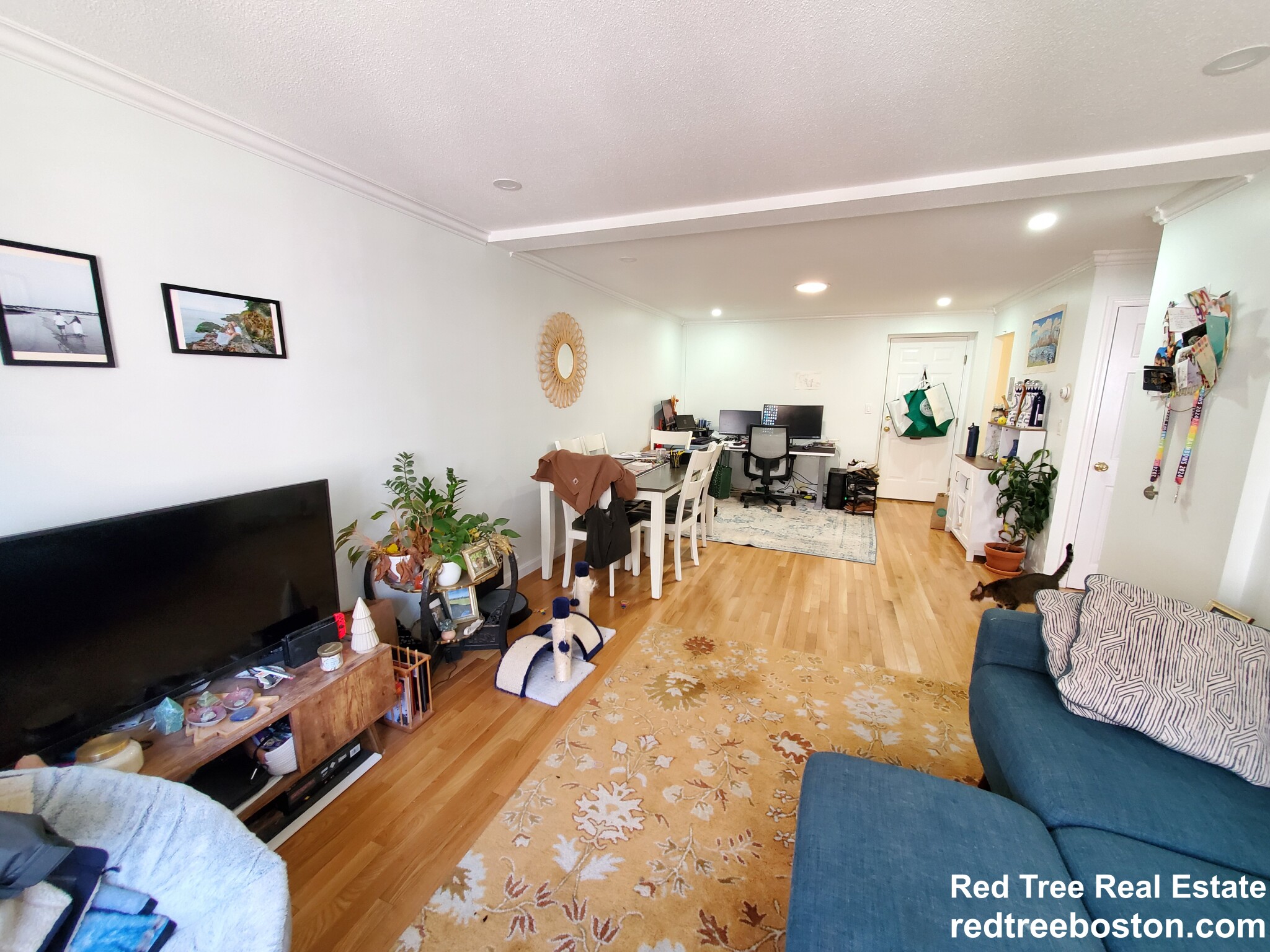 329 Harvard St, Mid Cambridge