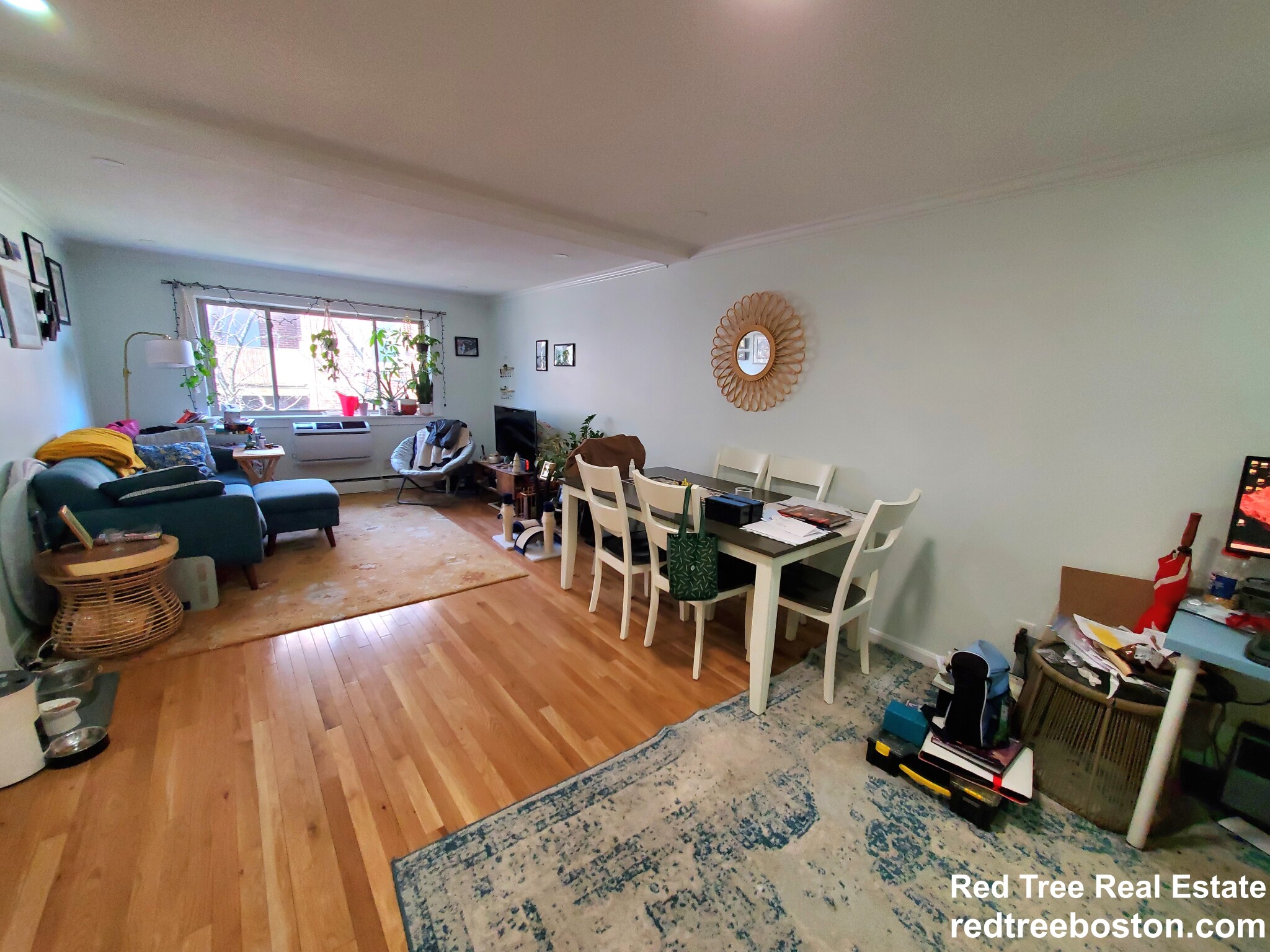 329 Harvard St, Mid Cambridge