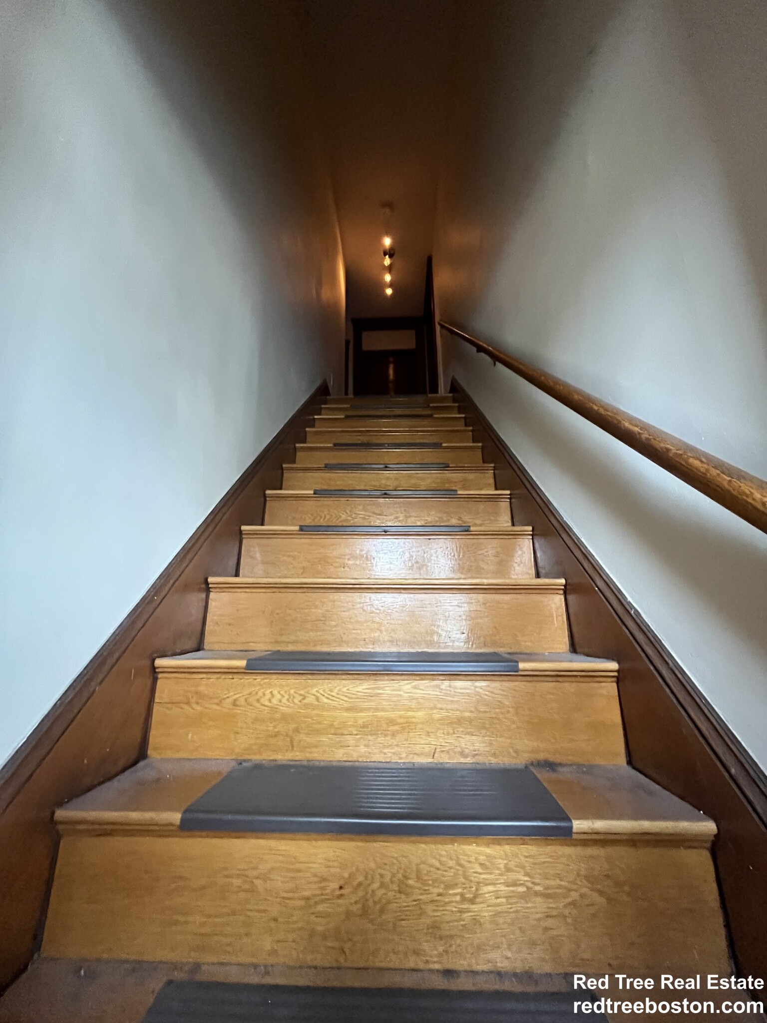 66 Perthshire Rd, Brighton