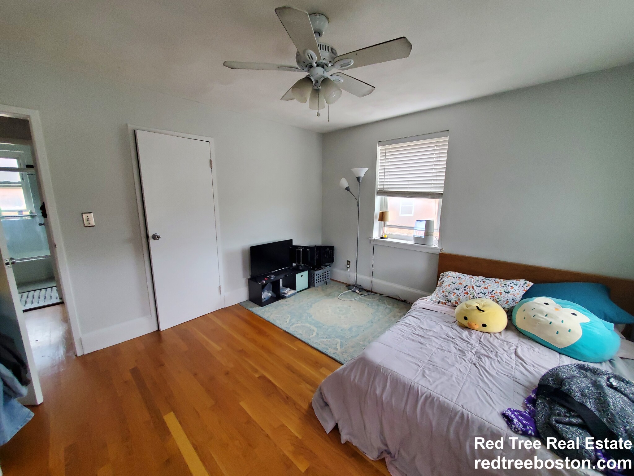 491 Arborway, Jamaica Plain