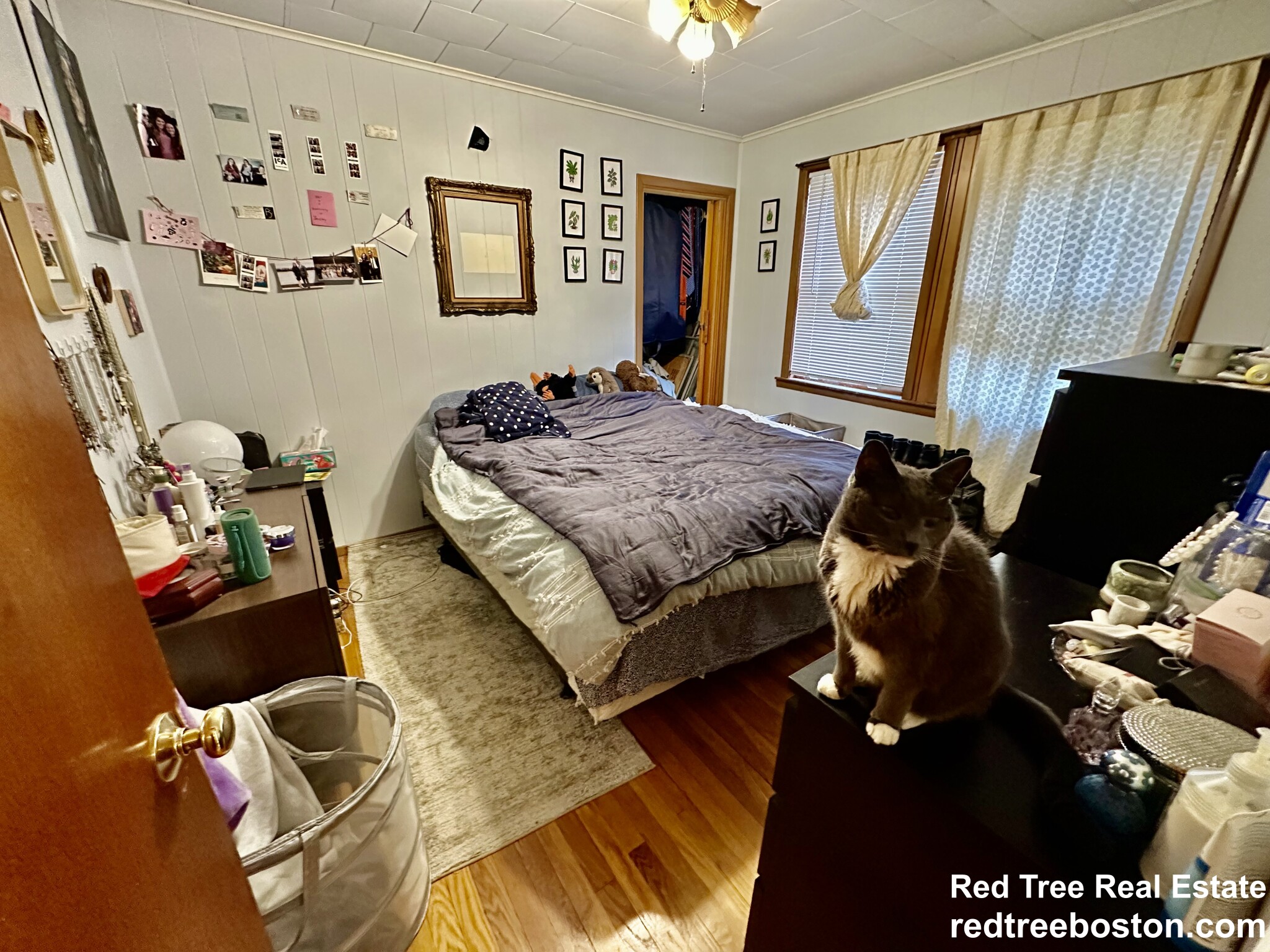 102 Bennett St, Brighton