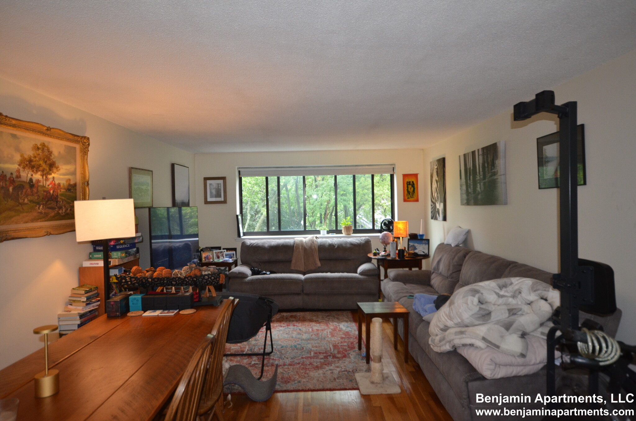 1 bed, 1 bath apartment for rent at 66 Homer Ave Unit A105, West Cambridge — photo 1 of 4