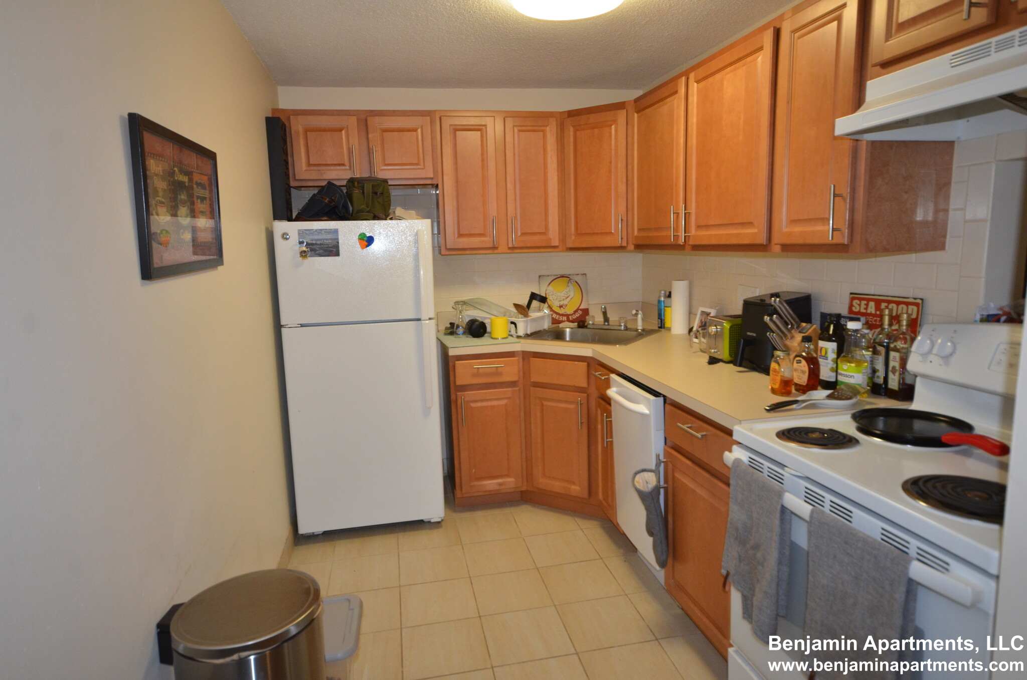 1 bed, 1 bath apartment for rent at 66 Homer Ave Unit A105, West Cambridge — photo 2 of 4