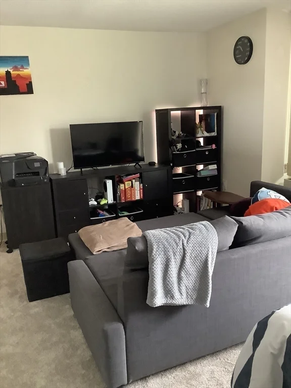 60 Longwood Ave, Coolidge Corner