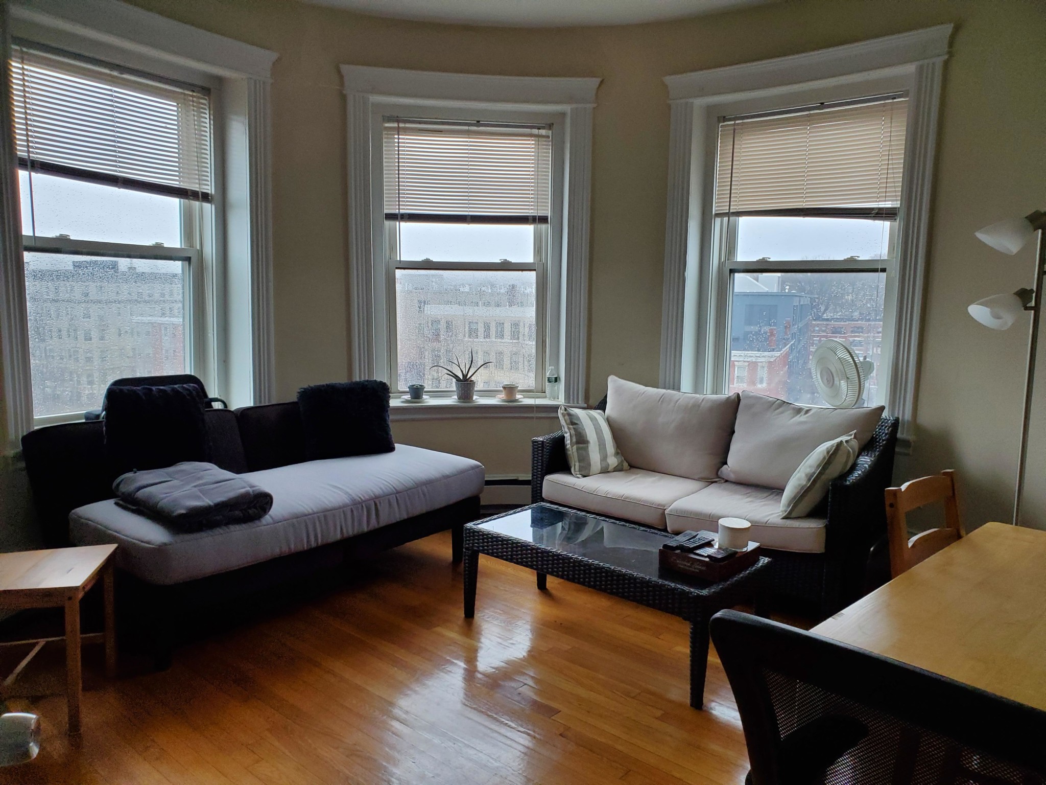 Studio bed, 1 bath apartment for rent at 80 Gordon St Unit AA, Brighton — photo 3 of 5
