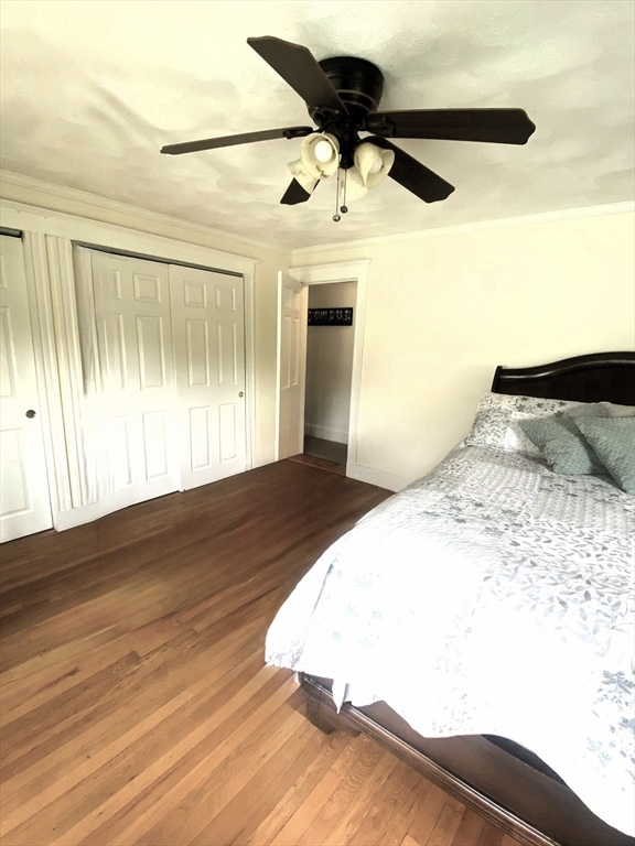 35 Reedsdale Rd, Milton