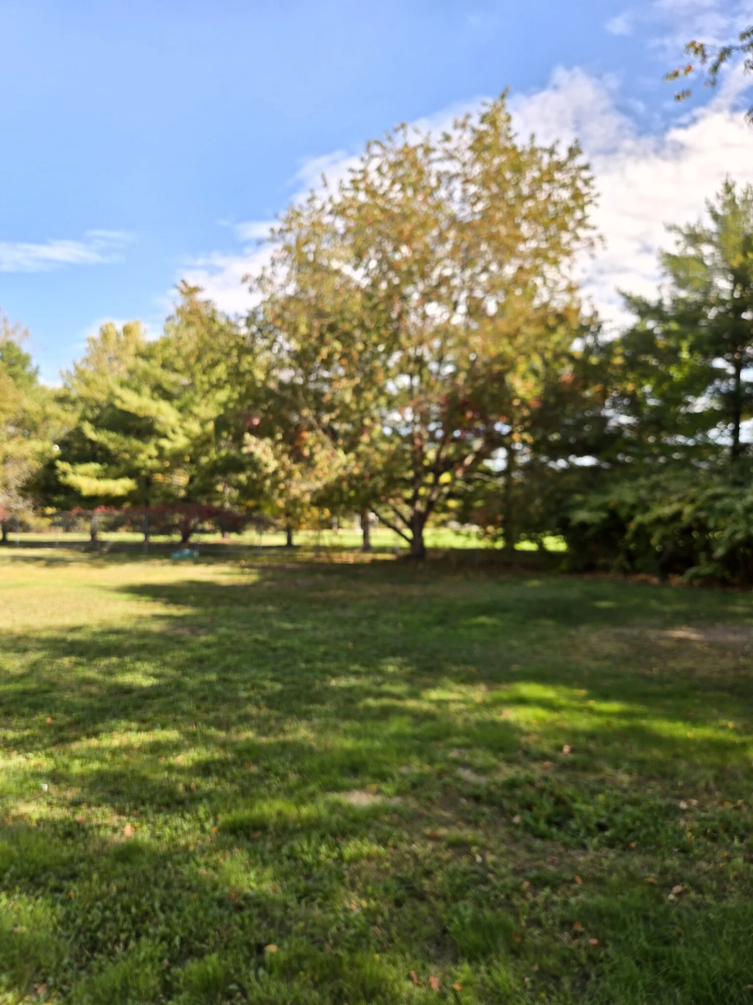 24 Rustic St, Newton Corner