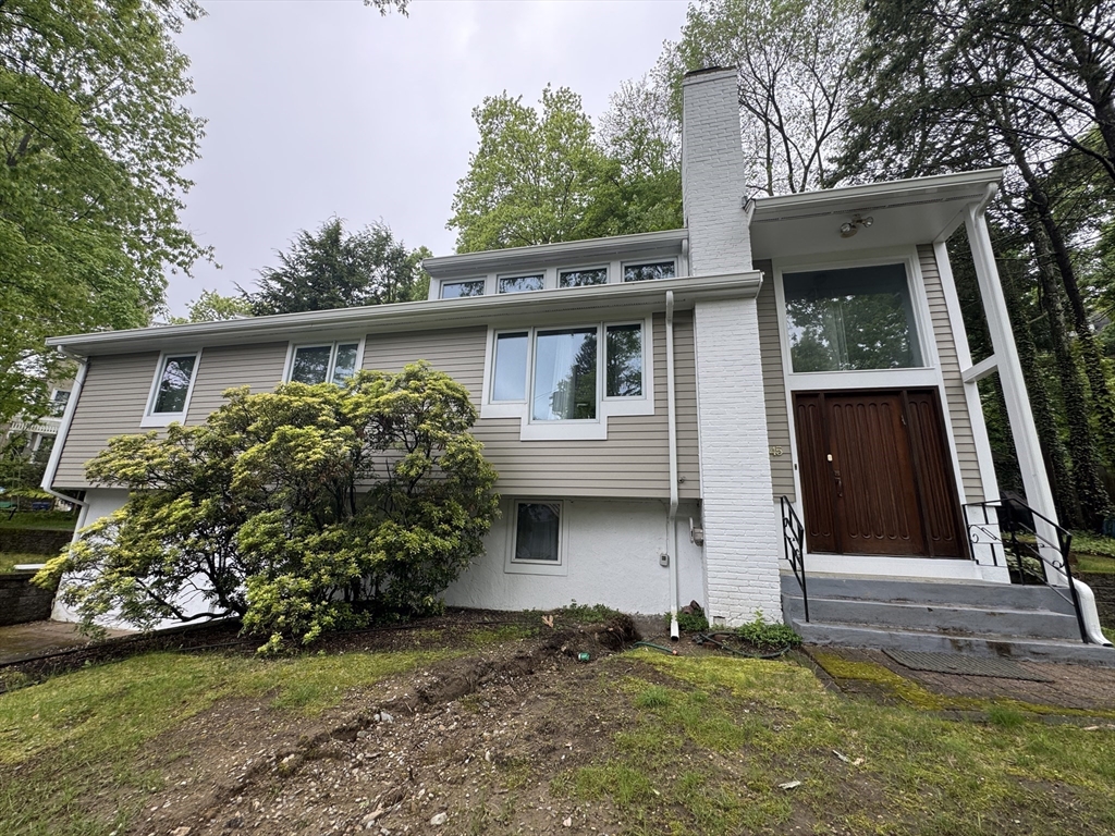 45 Dexter Rd, Newtonville