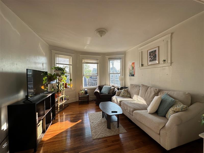 223 Summer St, Spring Hill