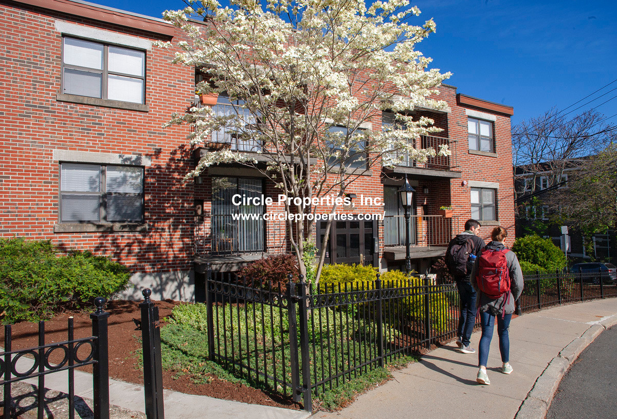 3 Darling St, Mission Hill