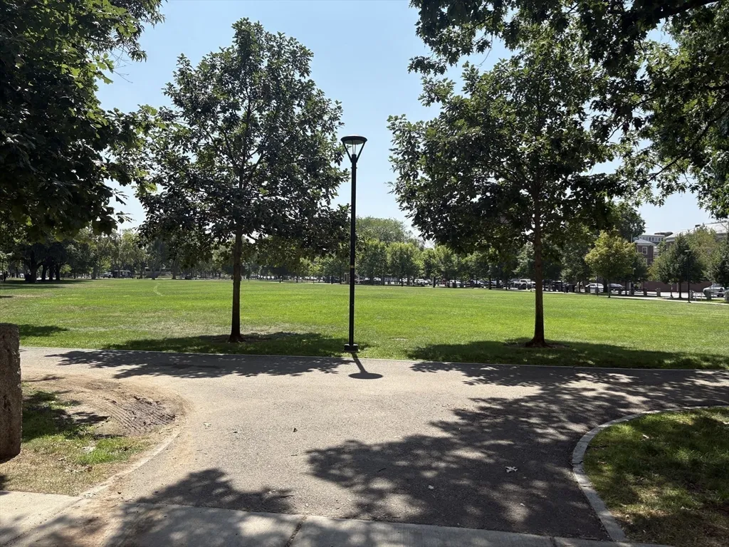 3 Concord Ave, Neighborhood Nine